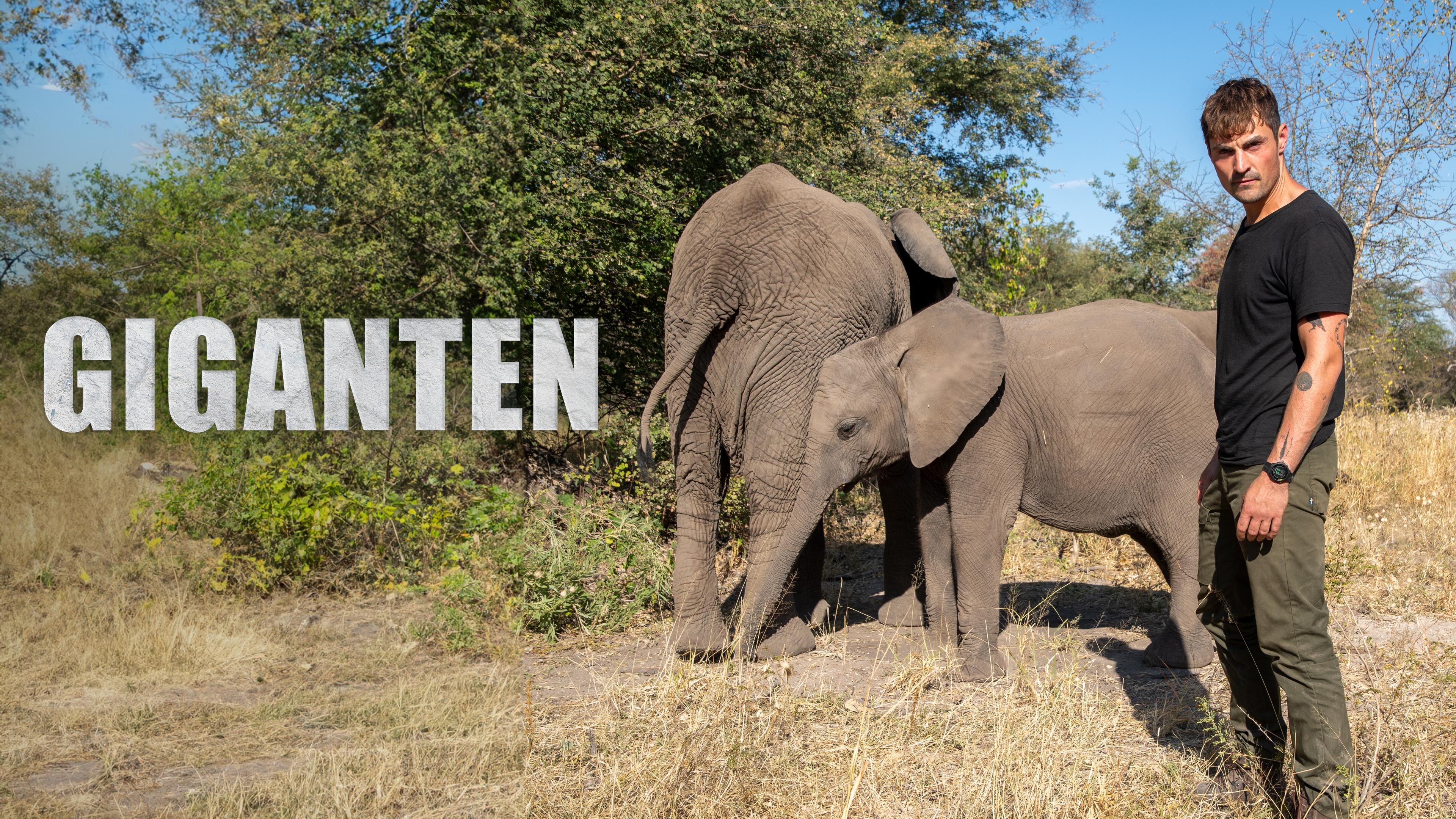 Giganten