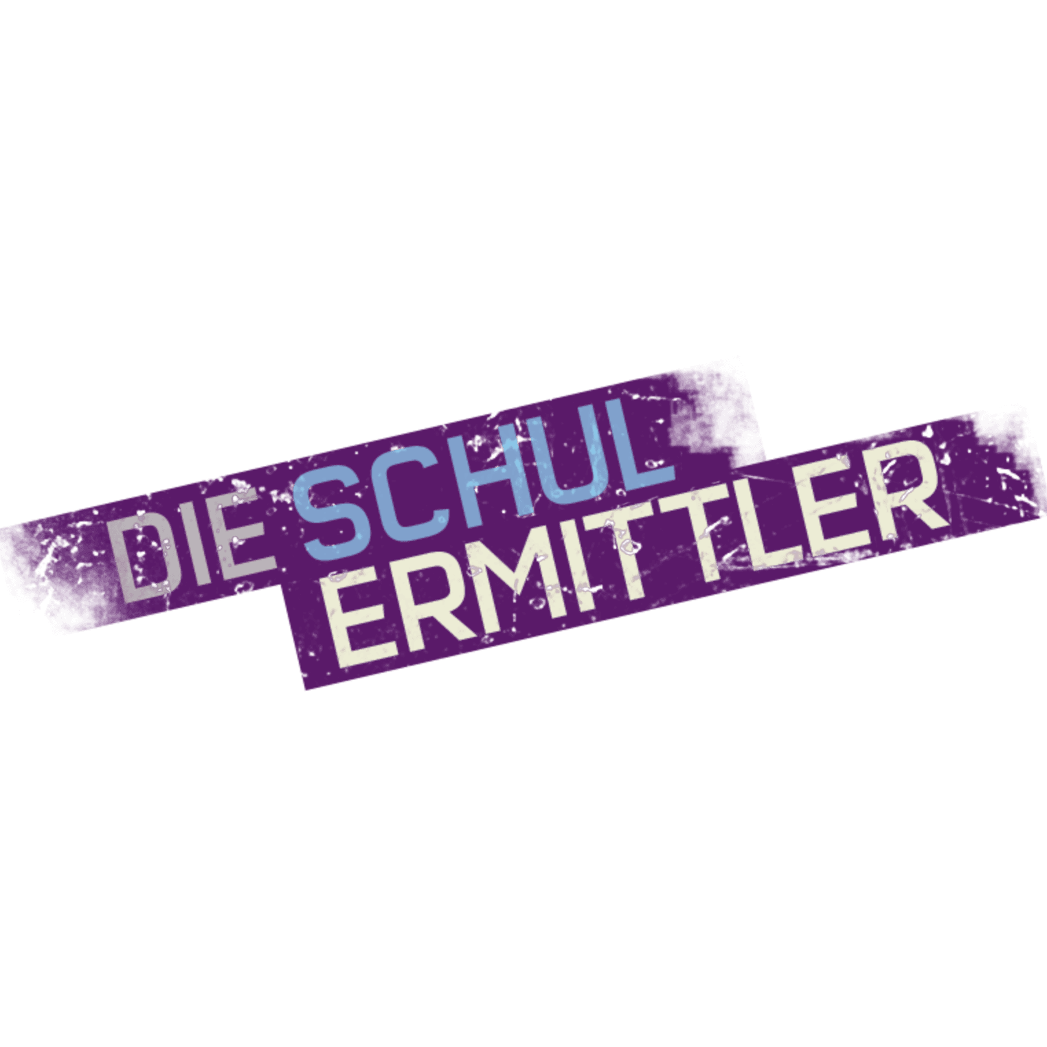 Die Schulermittler