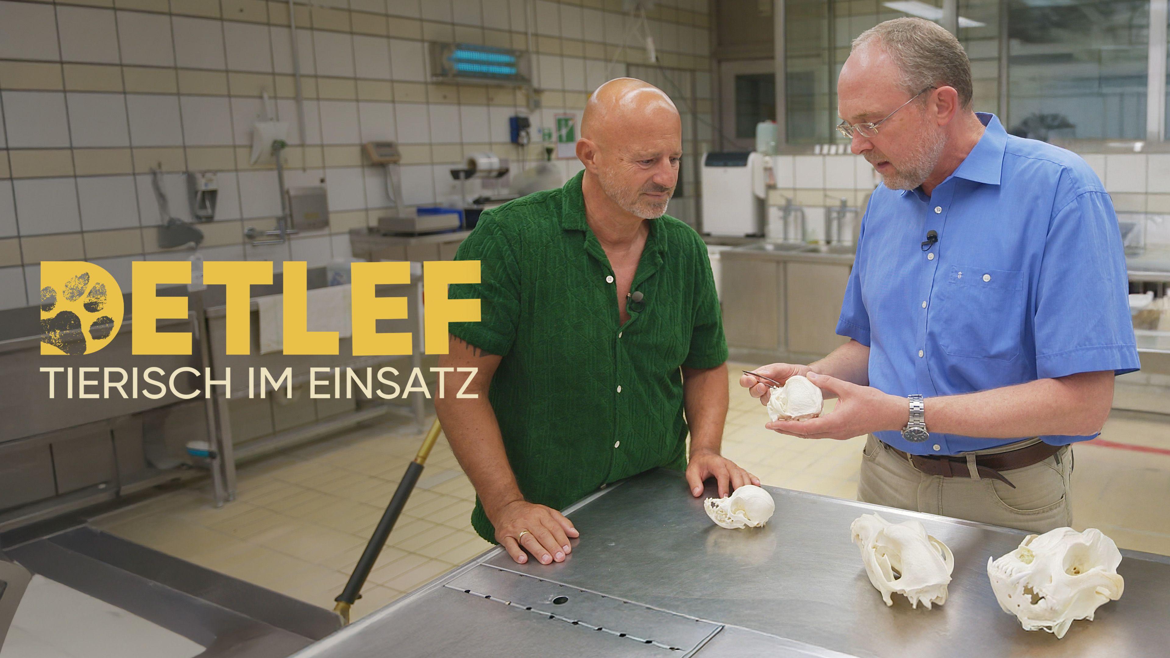 Detlef tierisch im Einsatz