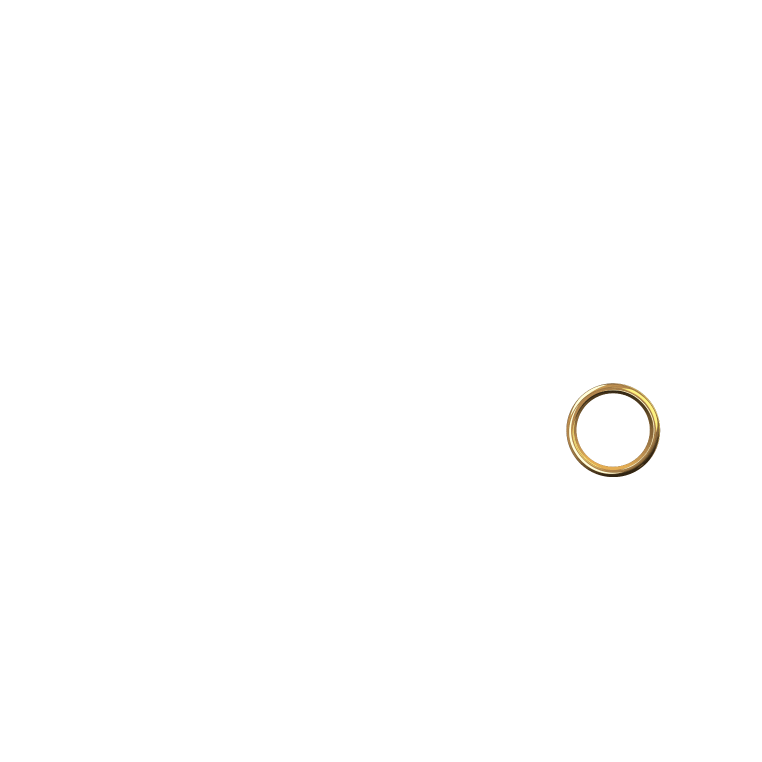 The Golden Bachelor