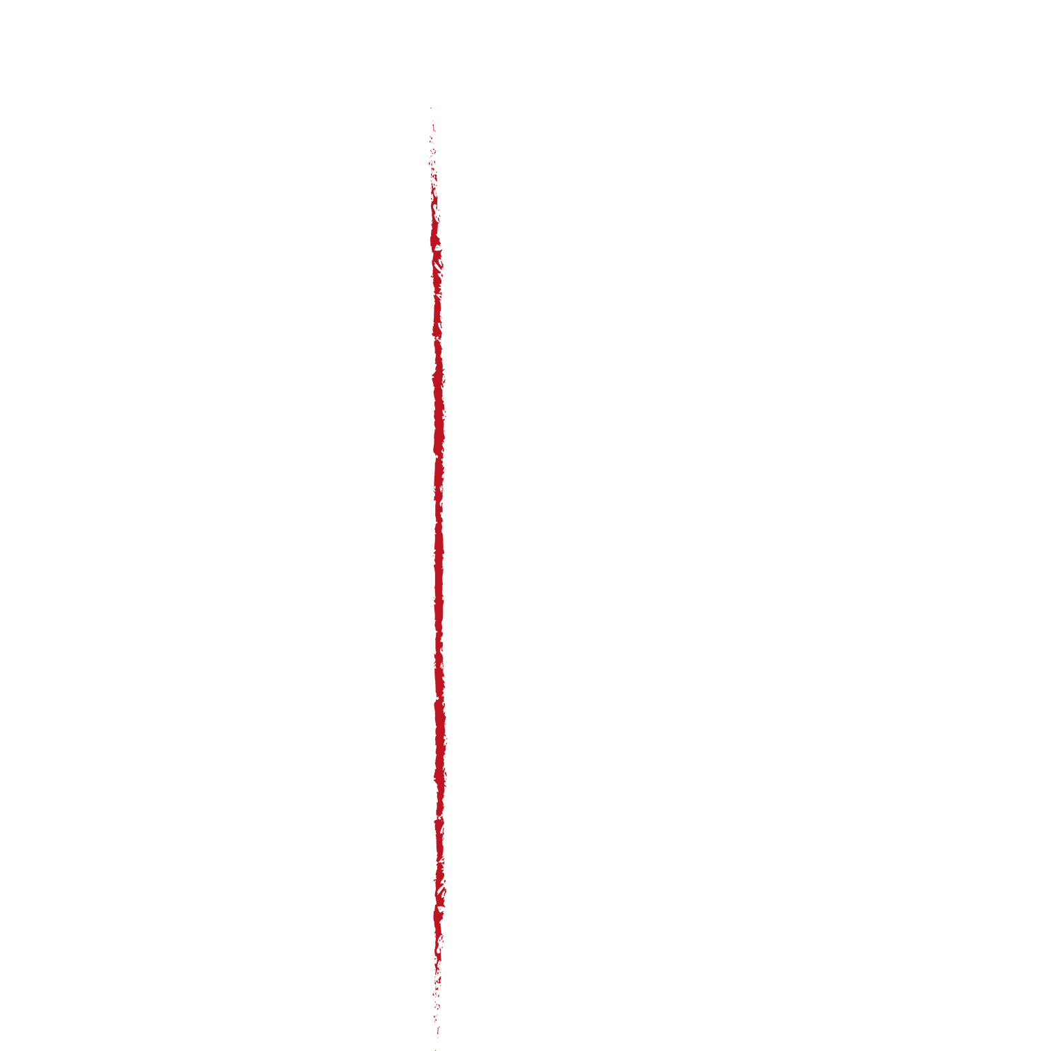 Der Pass