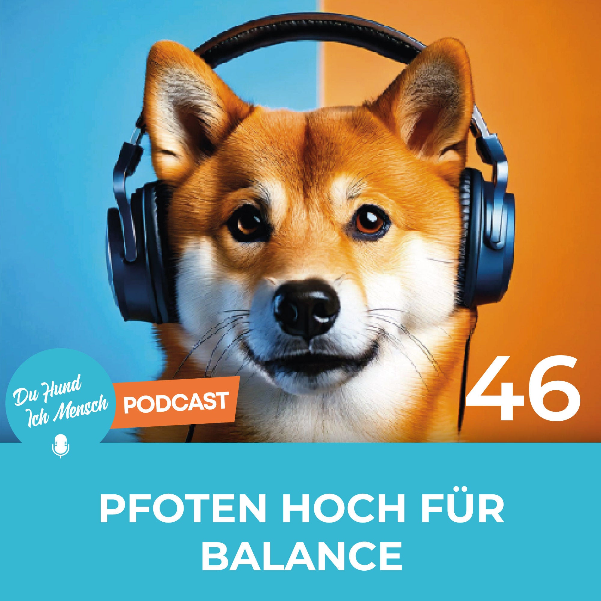 46# Pfoten hoch für Balance