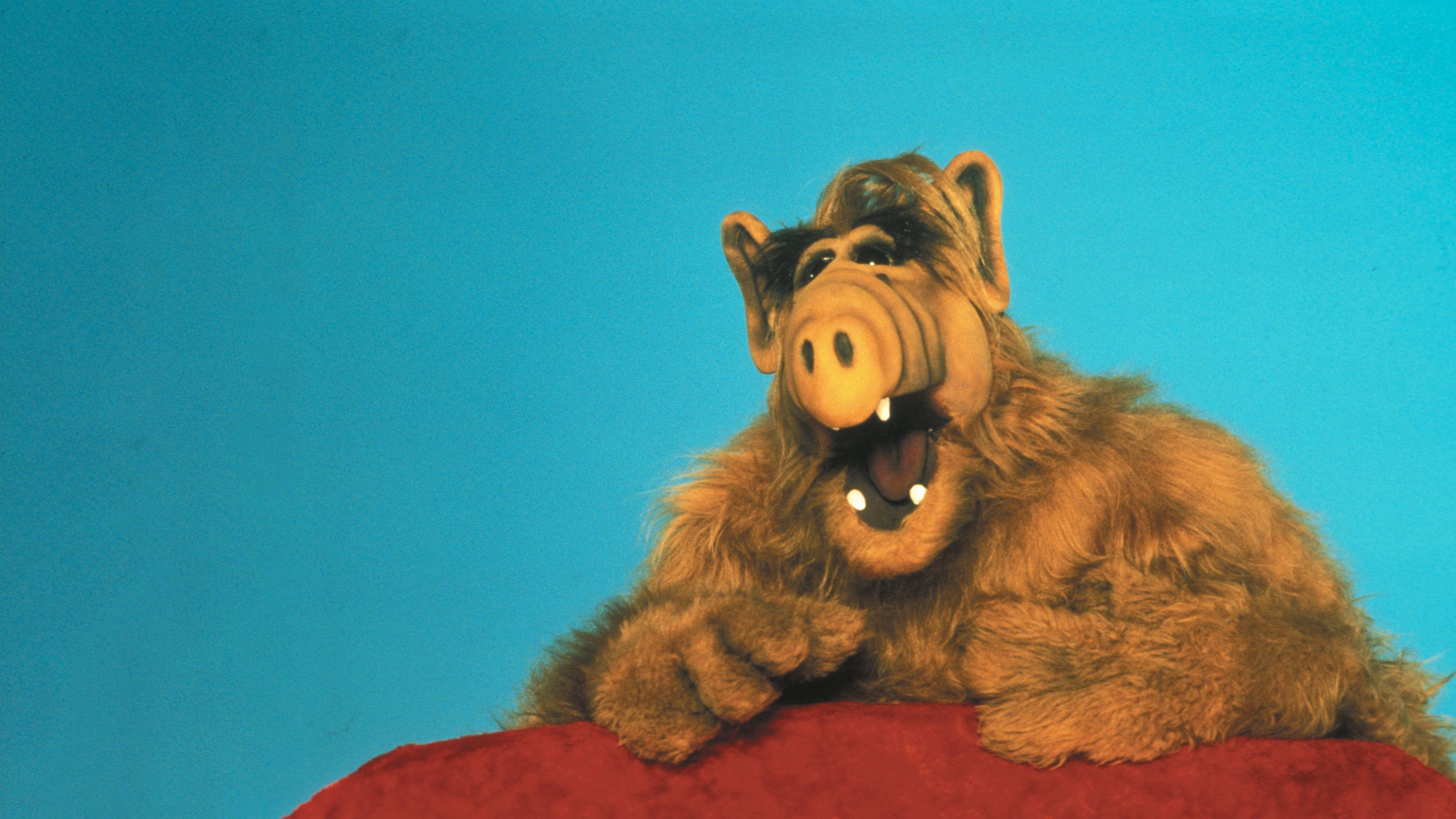 Alf