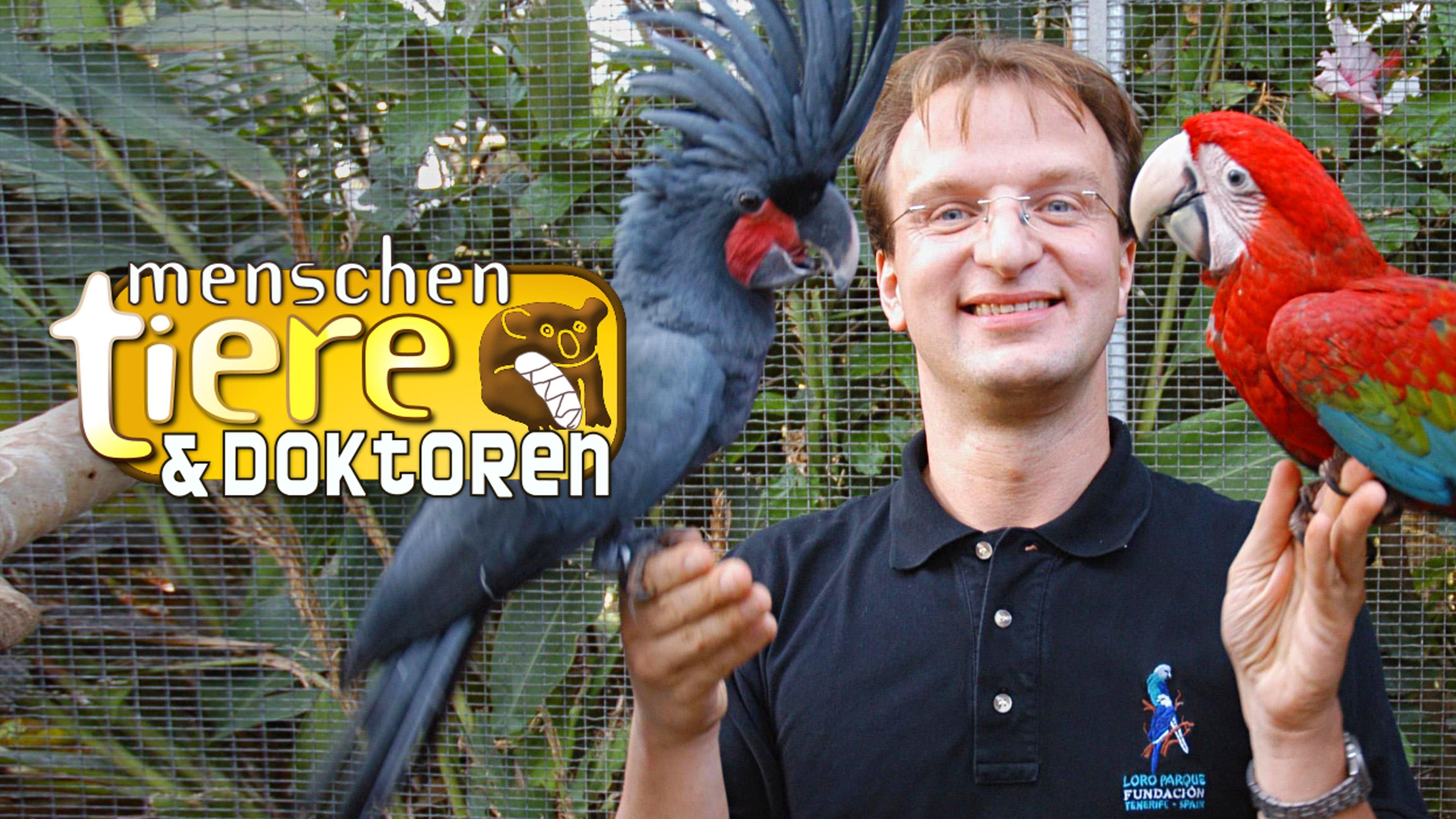 Menschen, Tiere & Doktoren