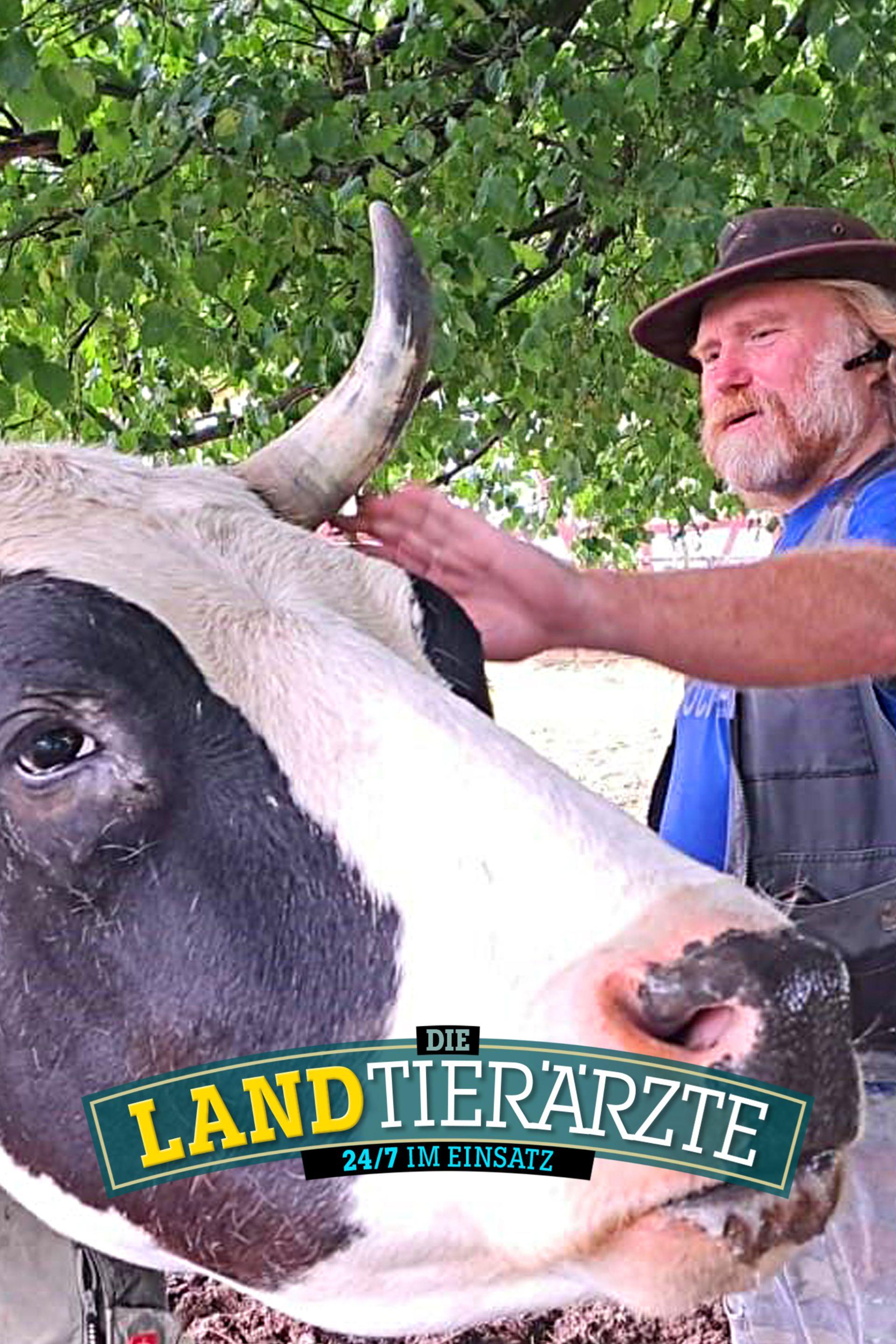Die Landtierärzte - 24/7 im Einsatz