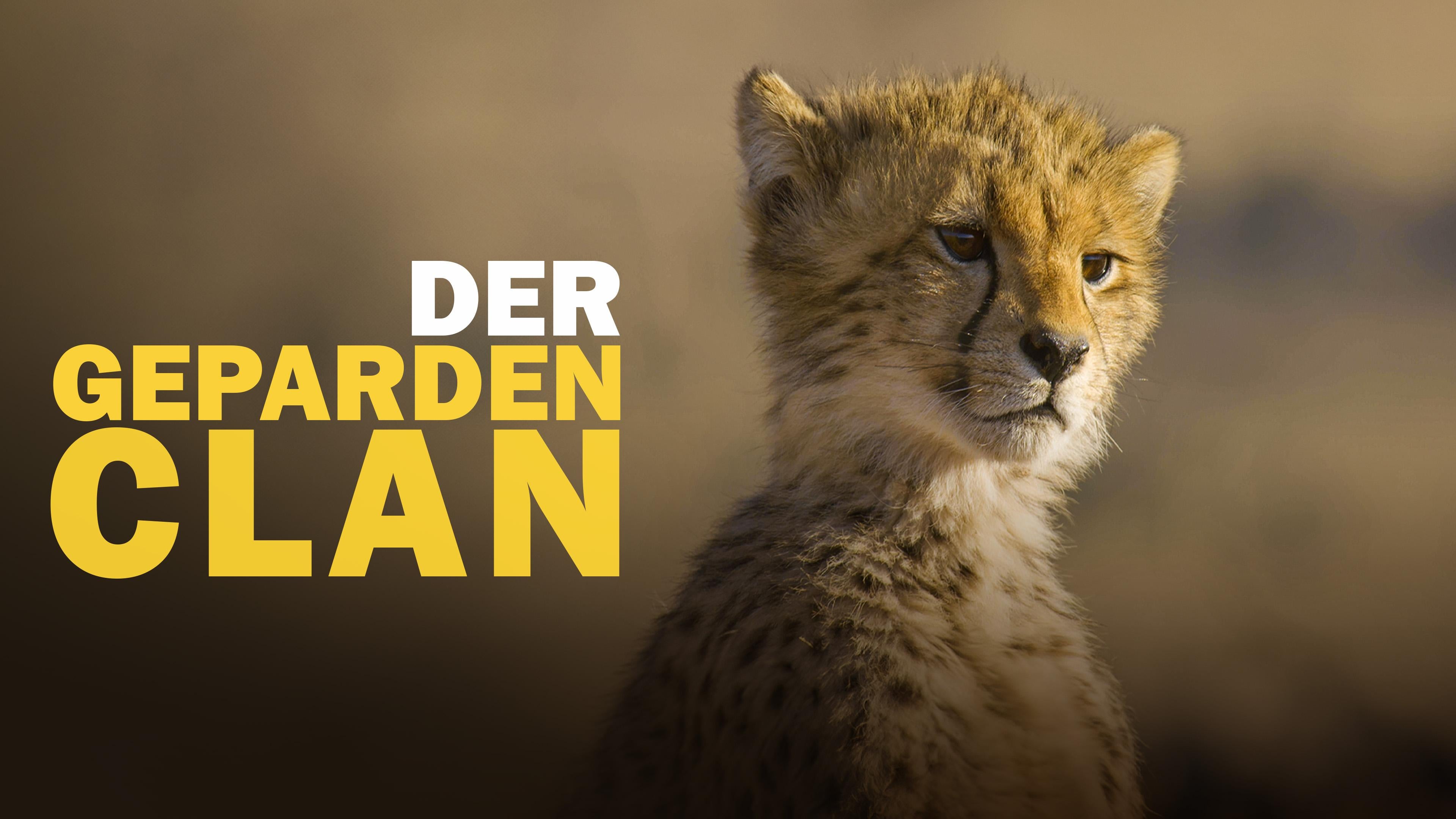 Der Geparden-Clan
