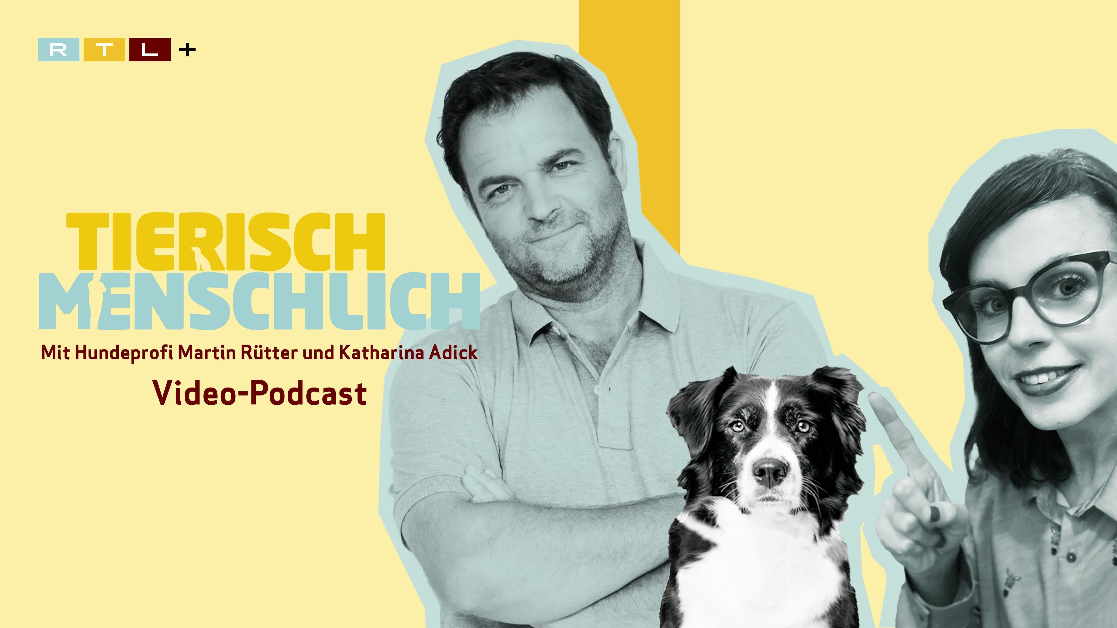 Tierisch menschlich - Der Video-Podcast