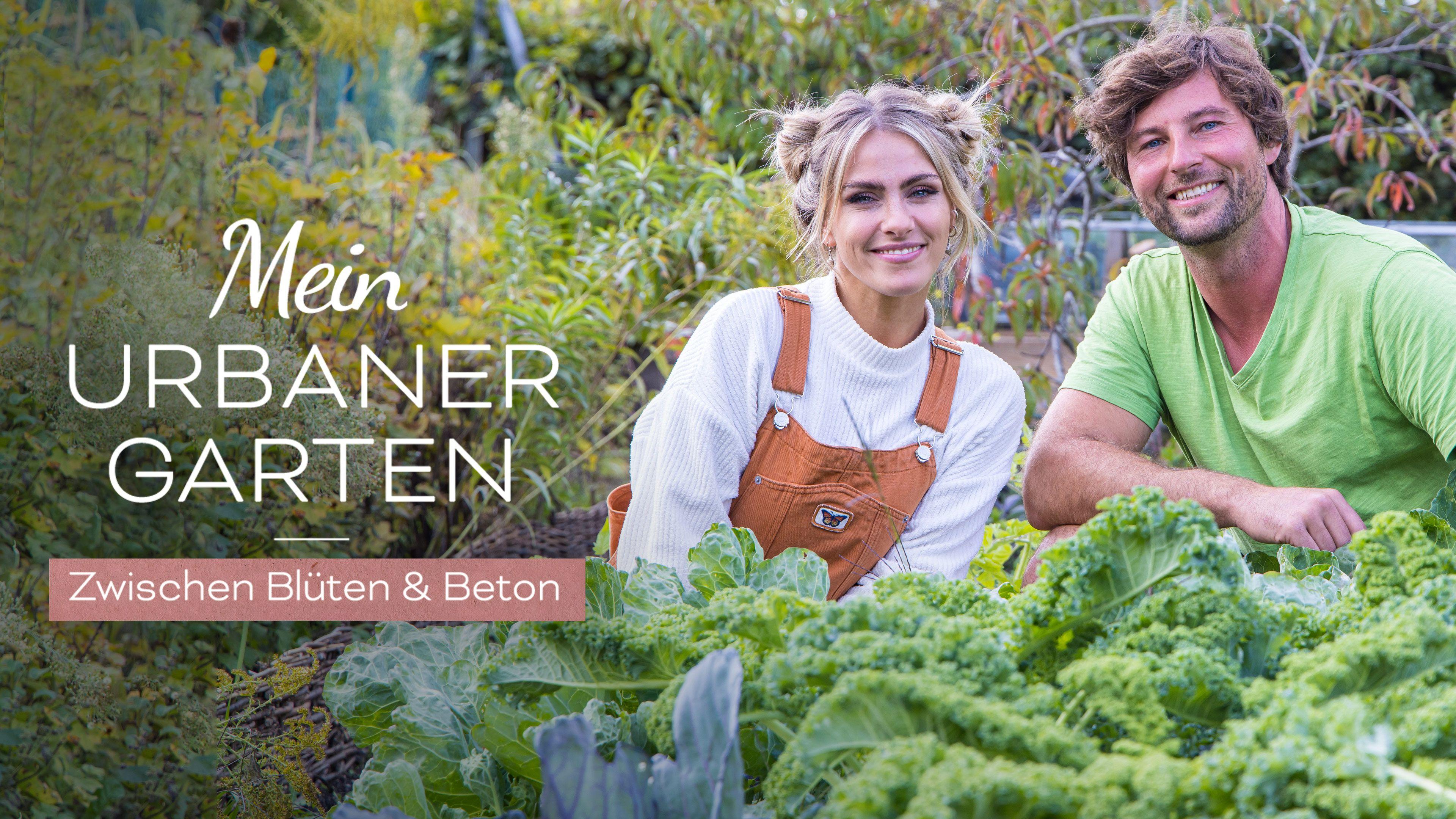 Mein urbaner Garten - Zwischen Blüten und Beton