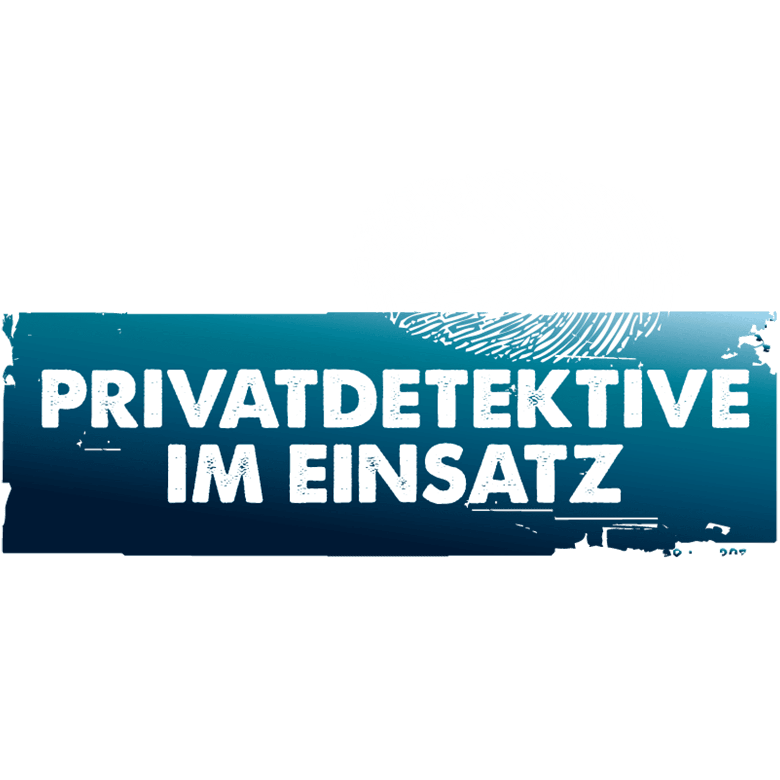 Privatdetektive im Einsatz