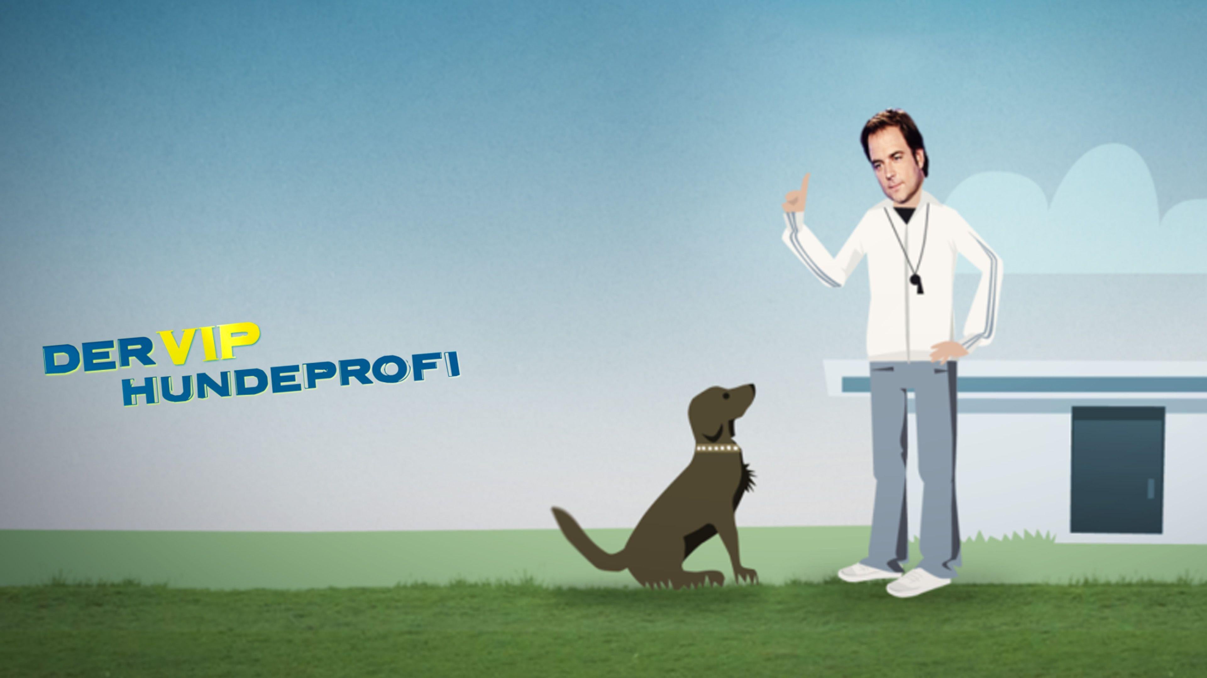 Der V.I.P. Hundeprofi