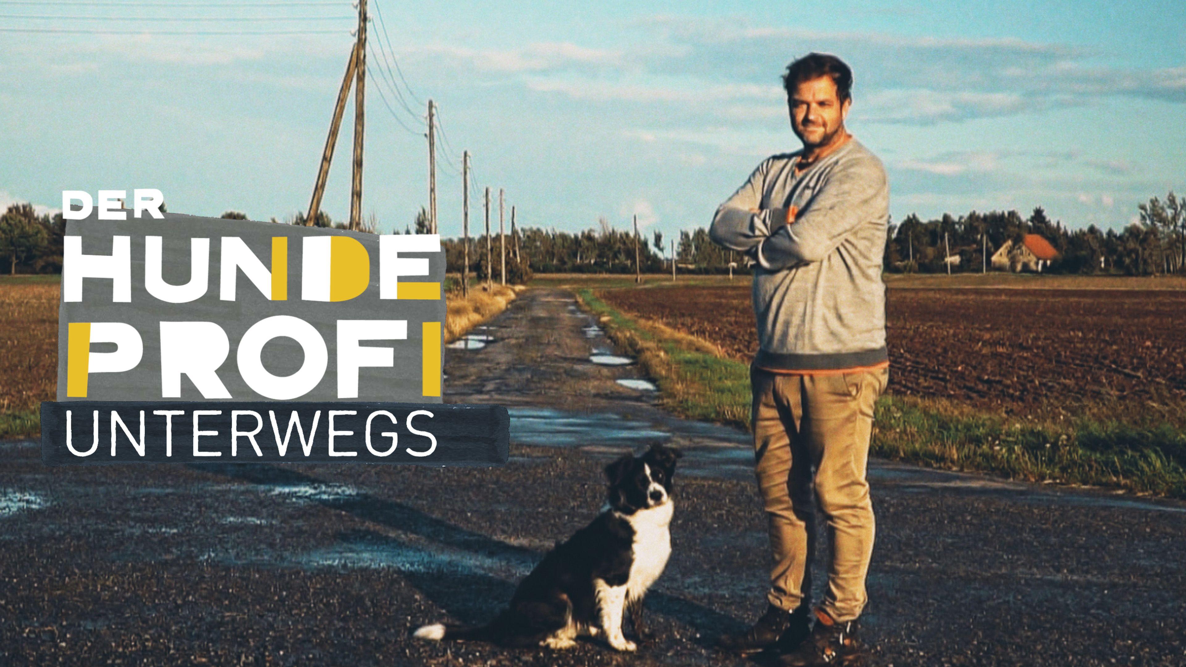Der Hundeprofi unterwegs