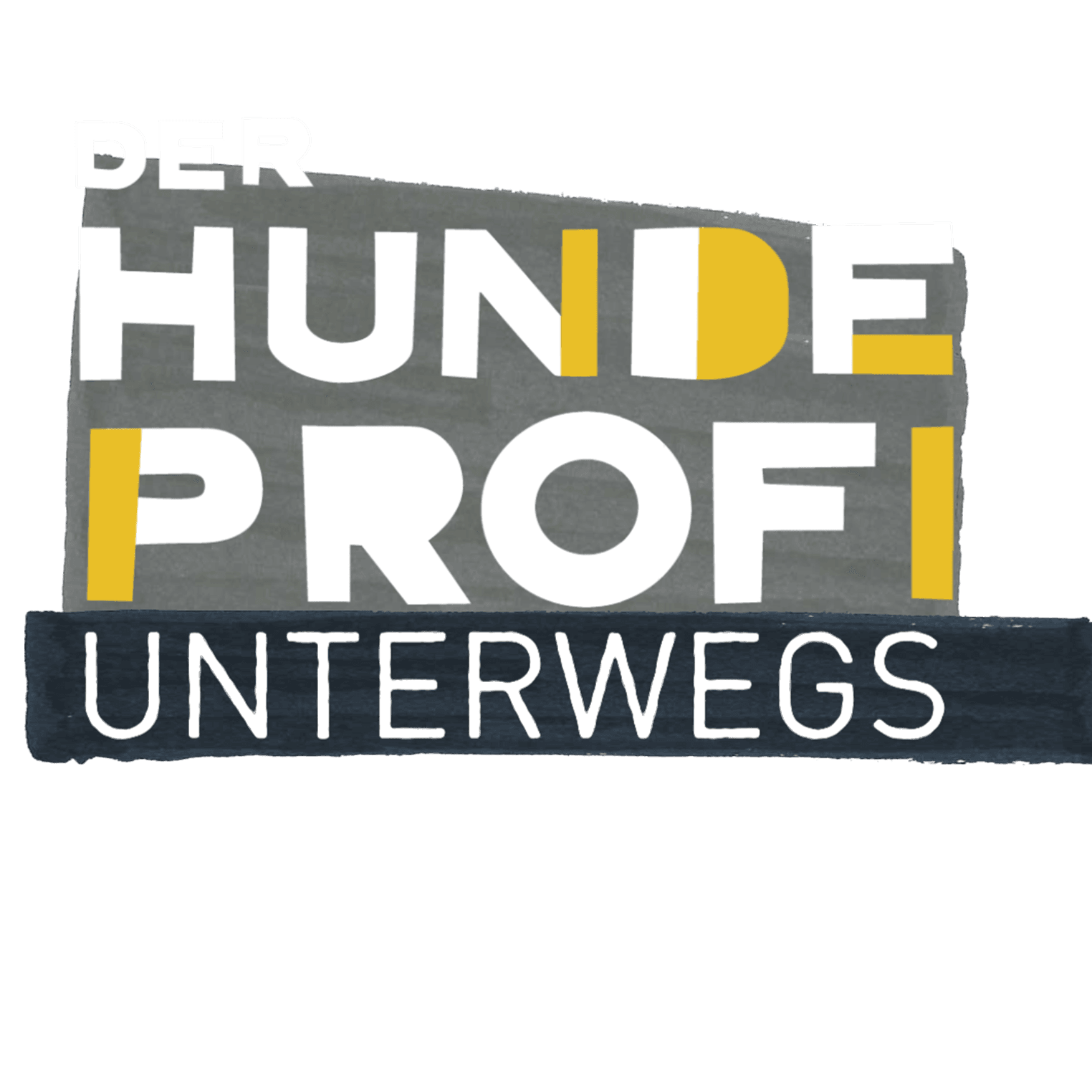 Der Hundeprofi unterwegs