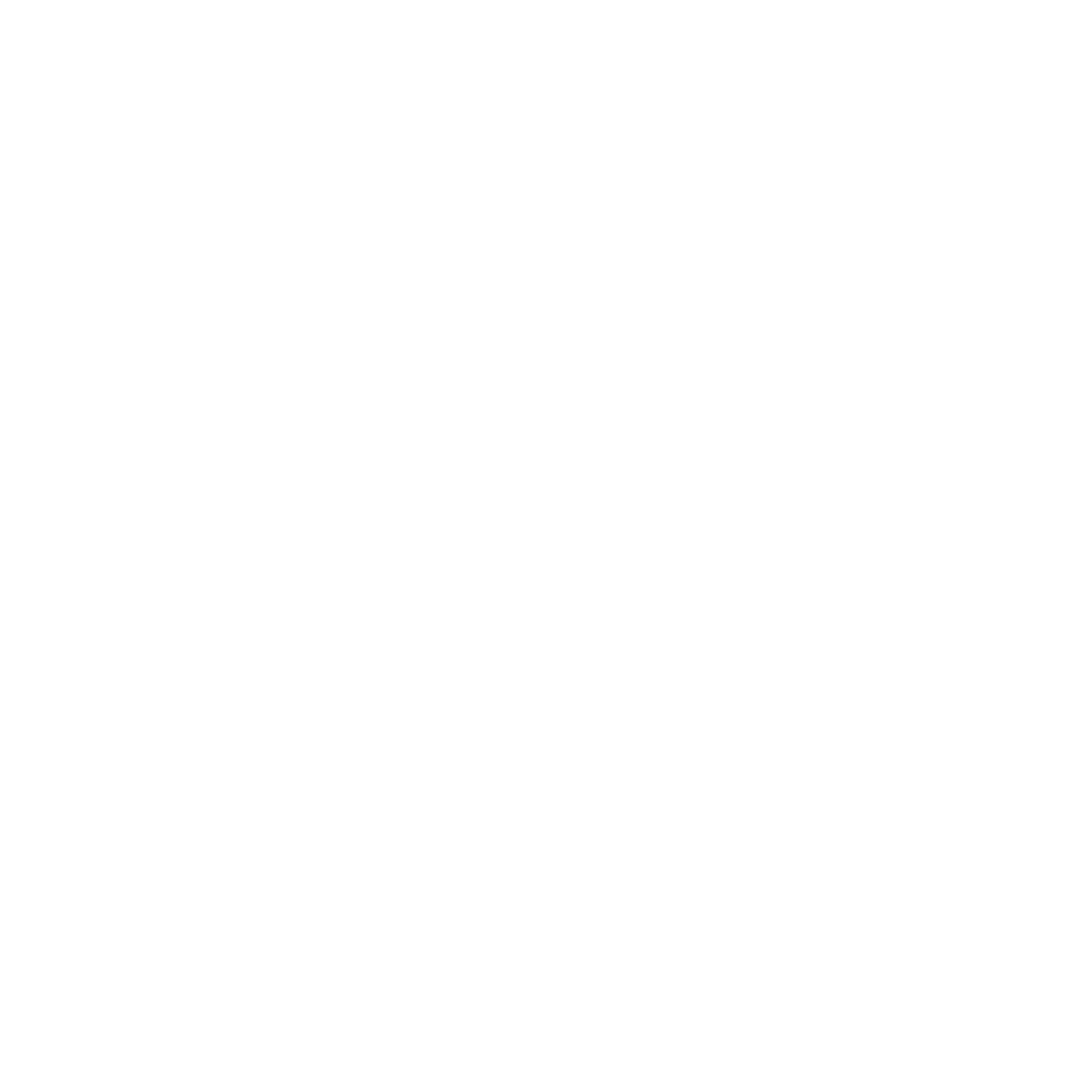 Cheer Fever - Jubel, Schmerz und Euphorie