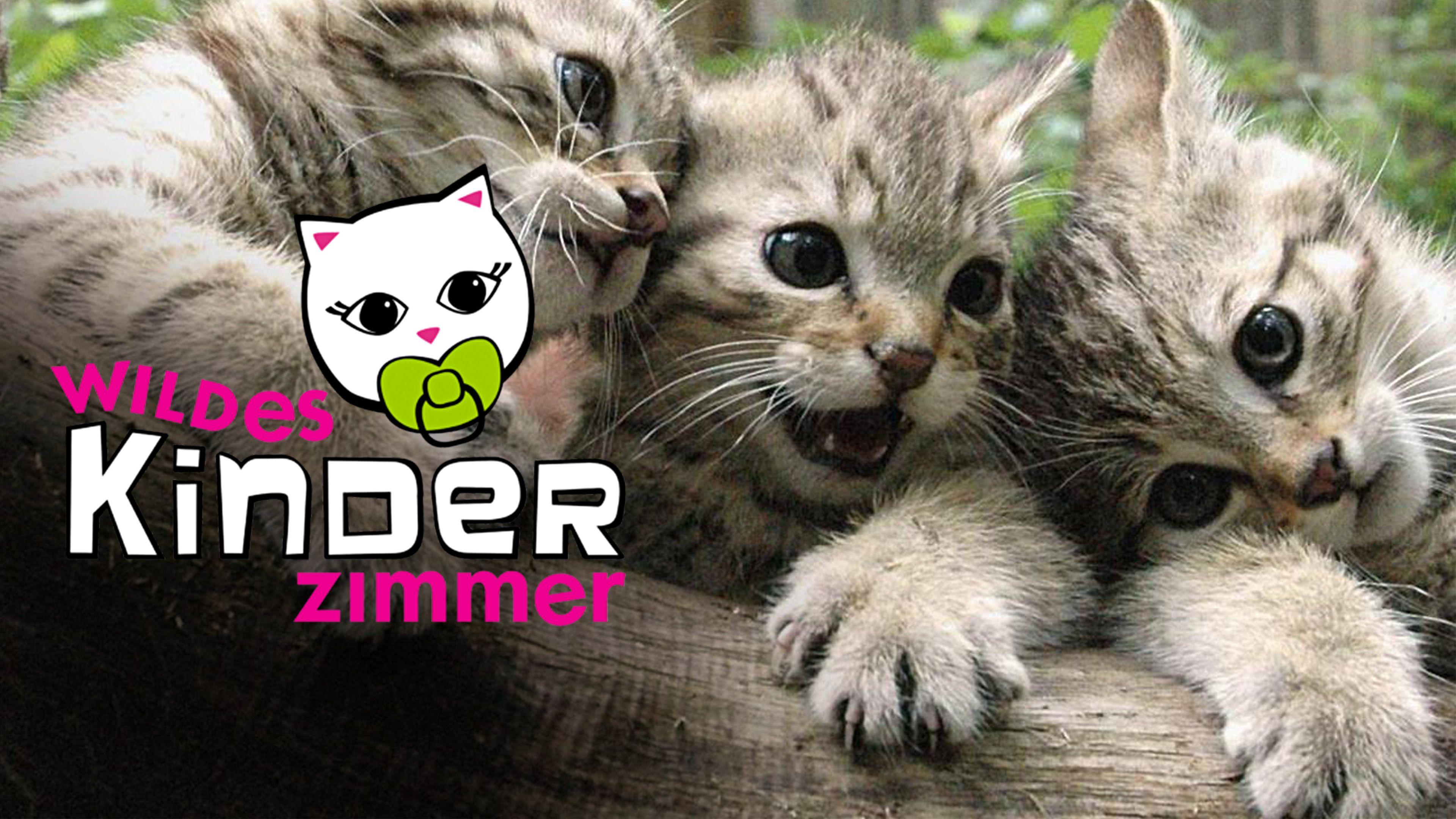 Wildes Kinderzimmer