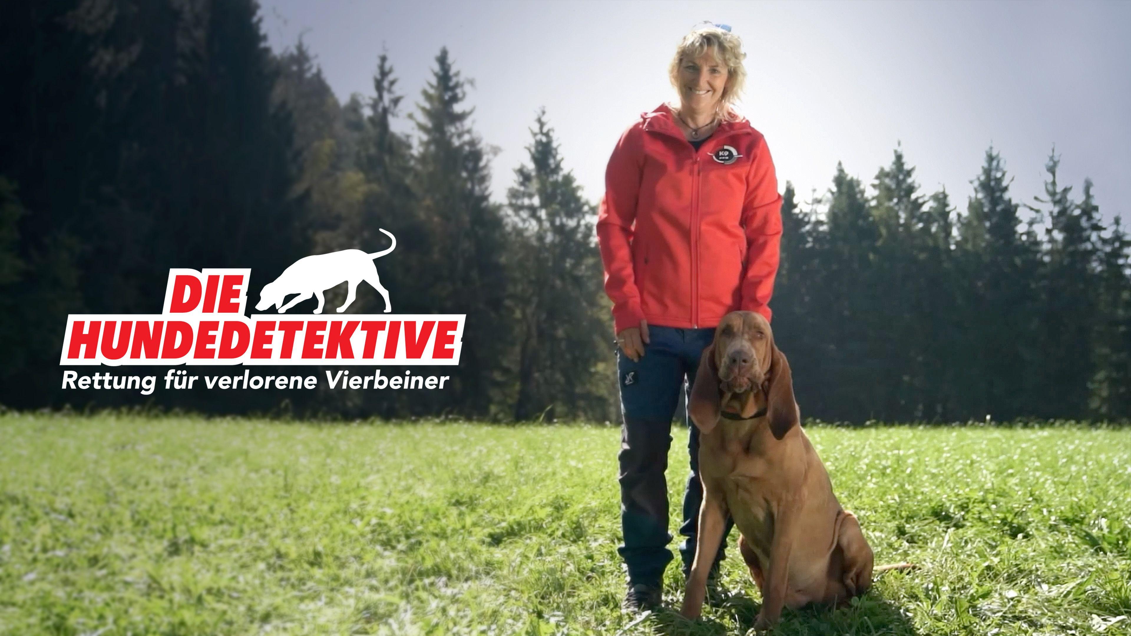 Die Hundedetektive - Rettung für verlorene Vierbeiner