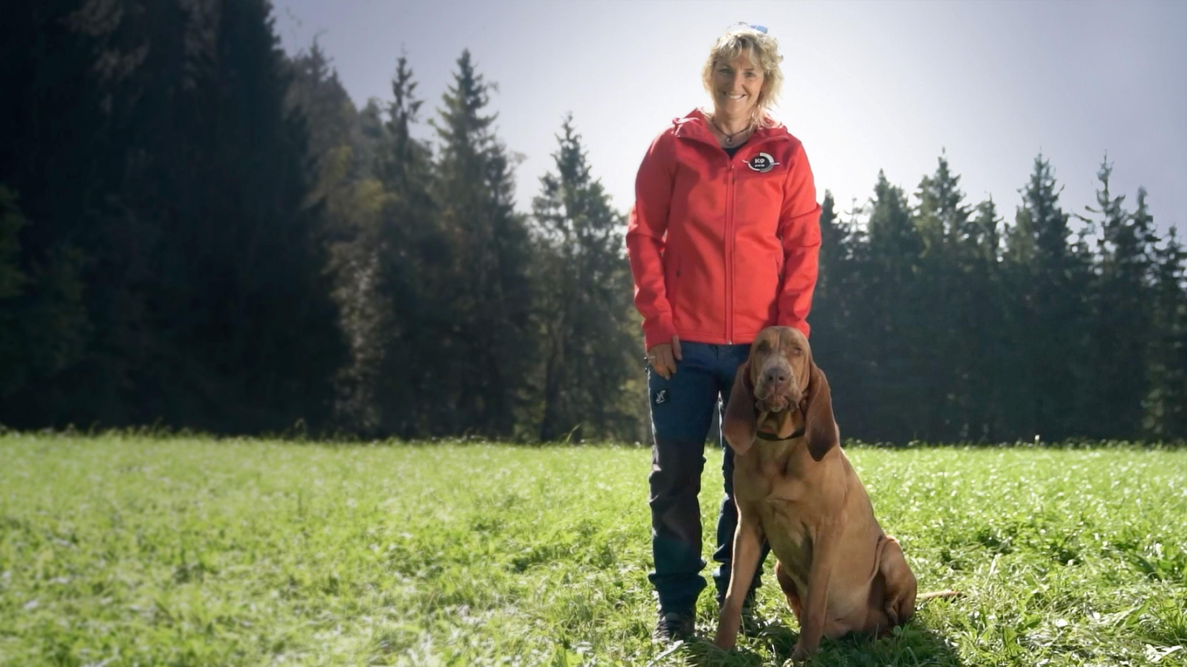 Die Hundedetektive - Rettung für verlorene Vierbeiner