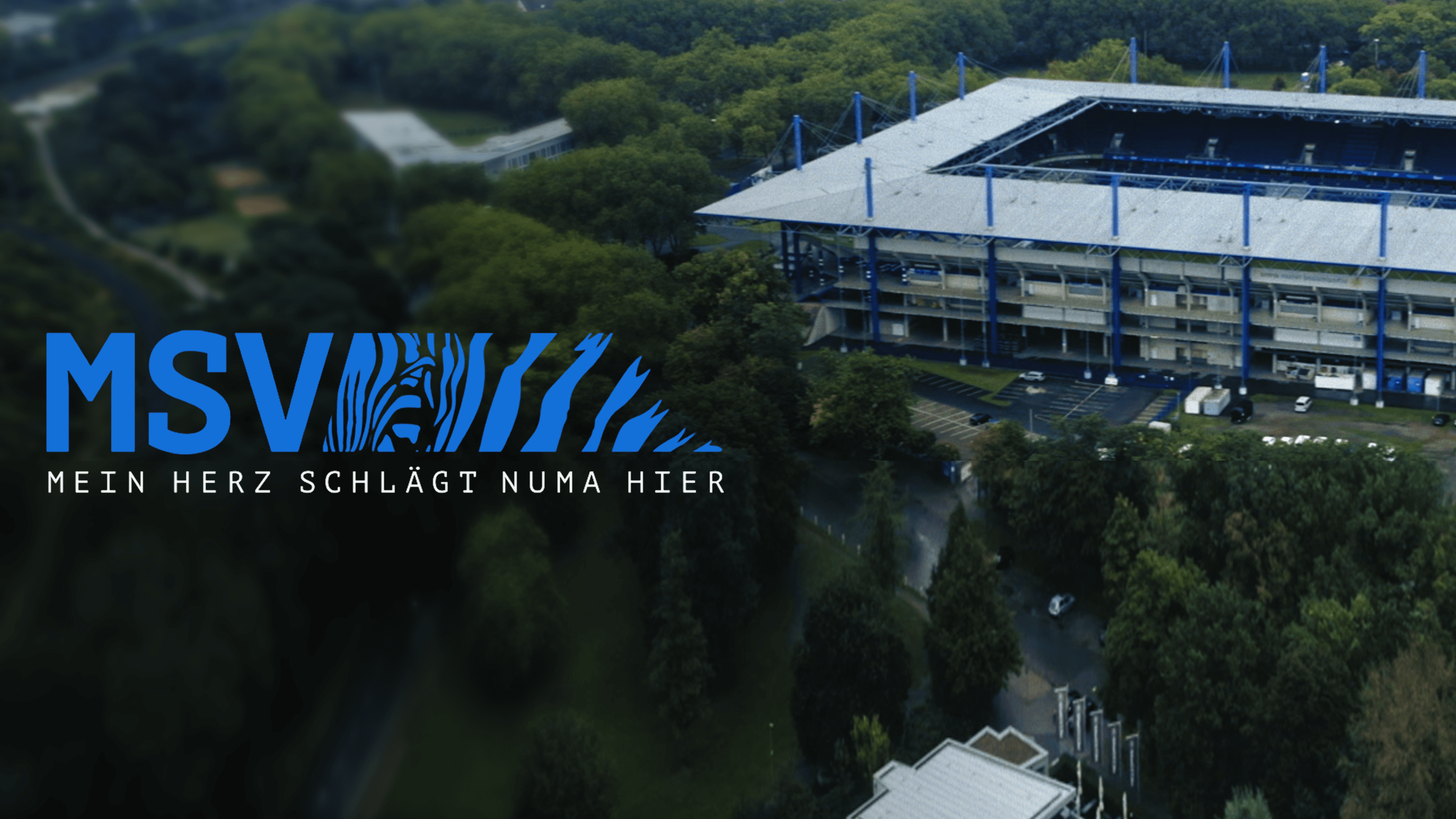 MSV - Mein Herz schlägt numa hier