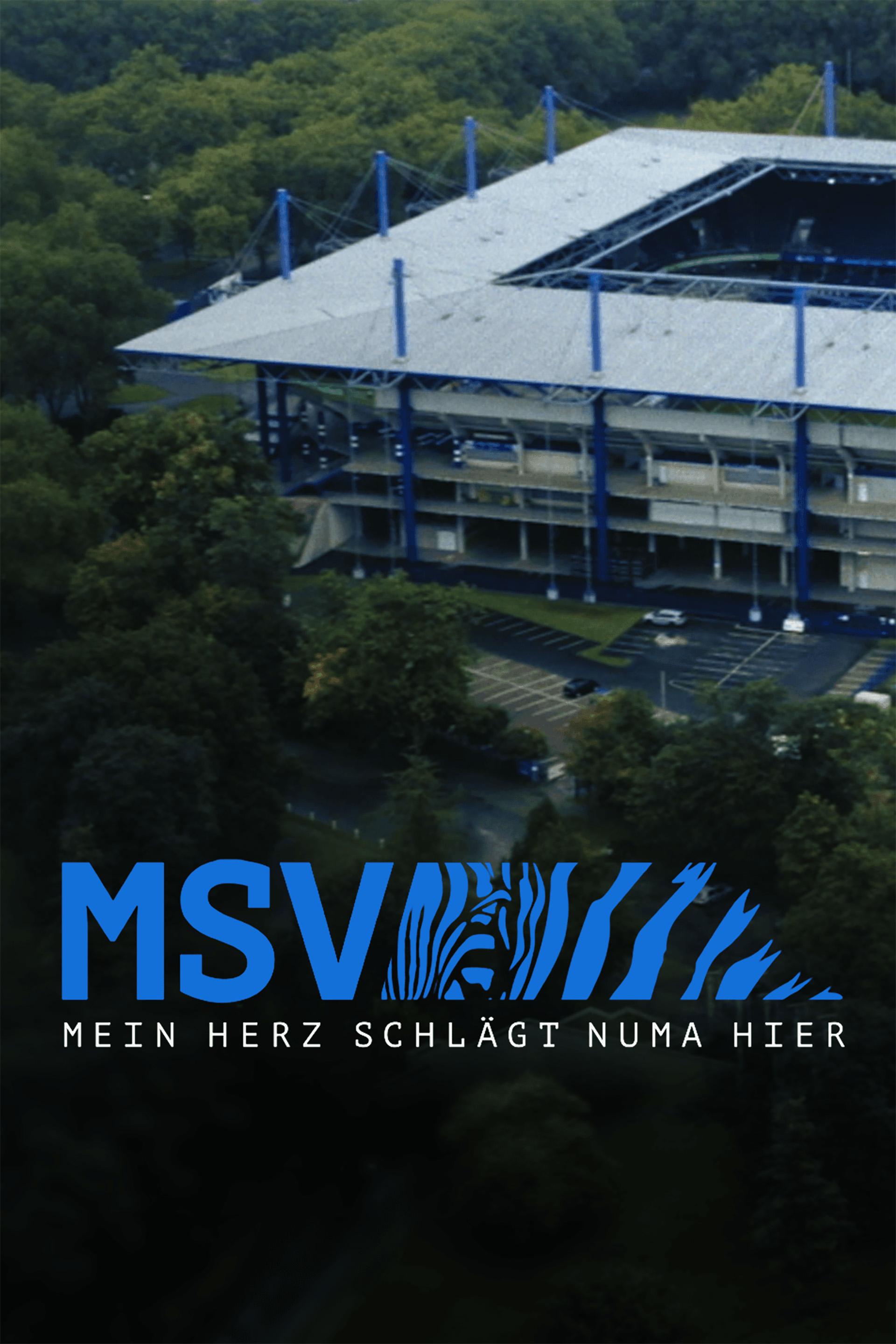 MSV - Mein Herz schlägt numa hier