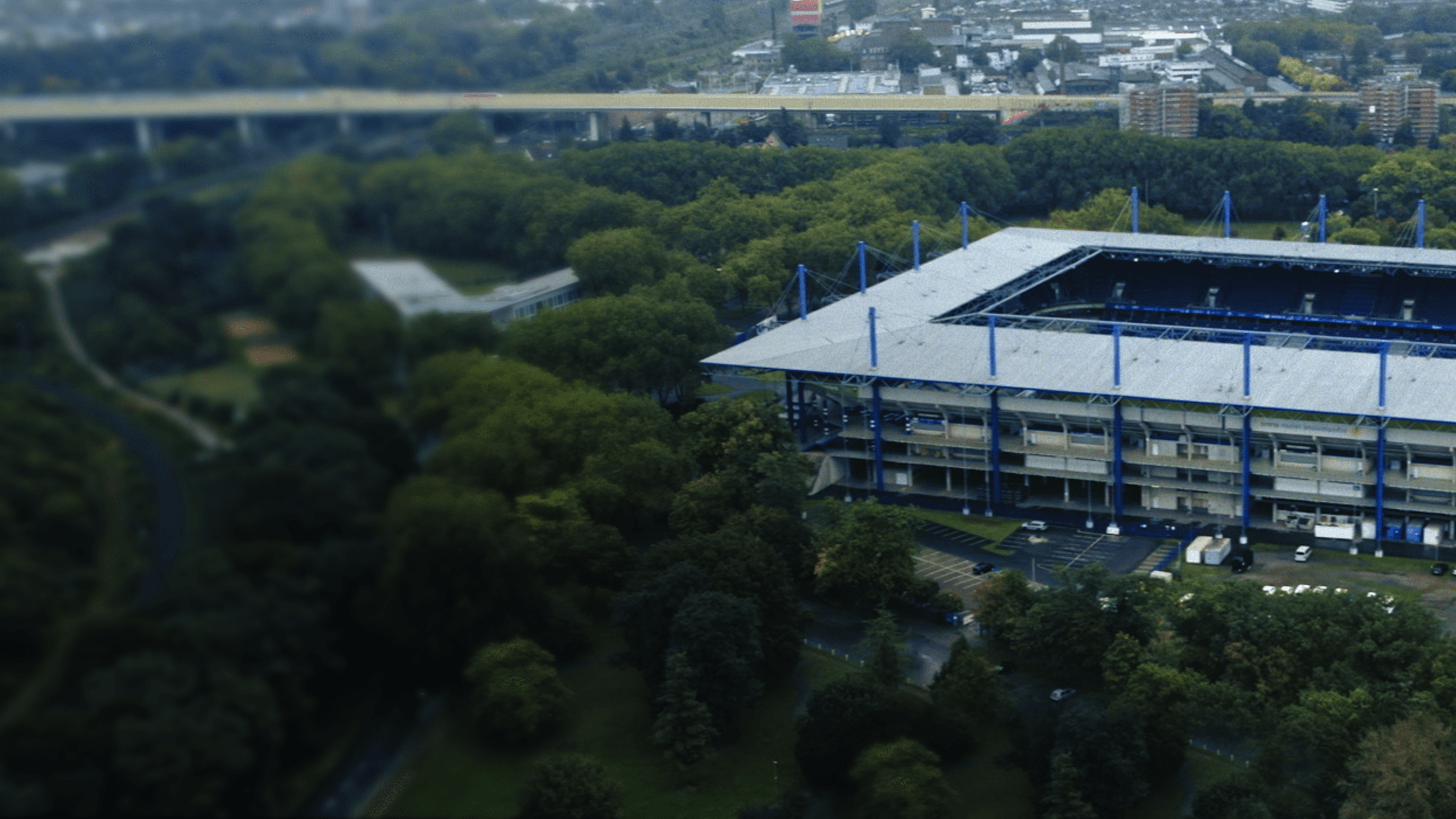 MSV - Mein Herz schlägt numa hier