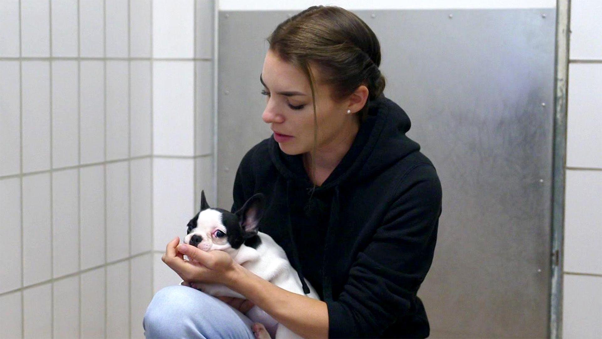 Martin und Sophie im Stuttgarter Tierheim