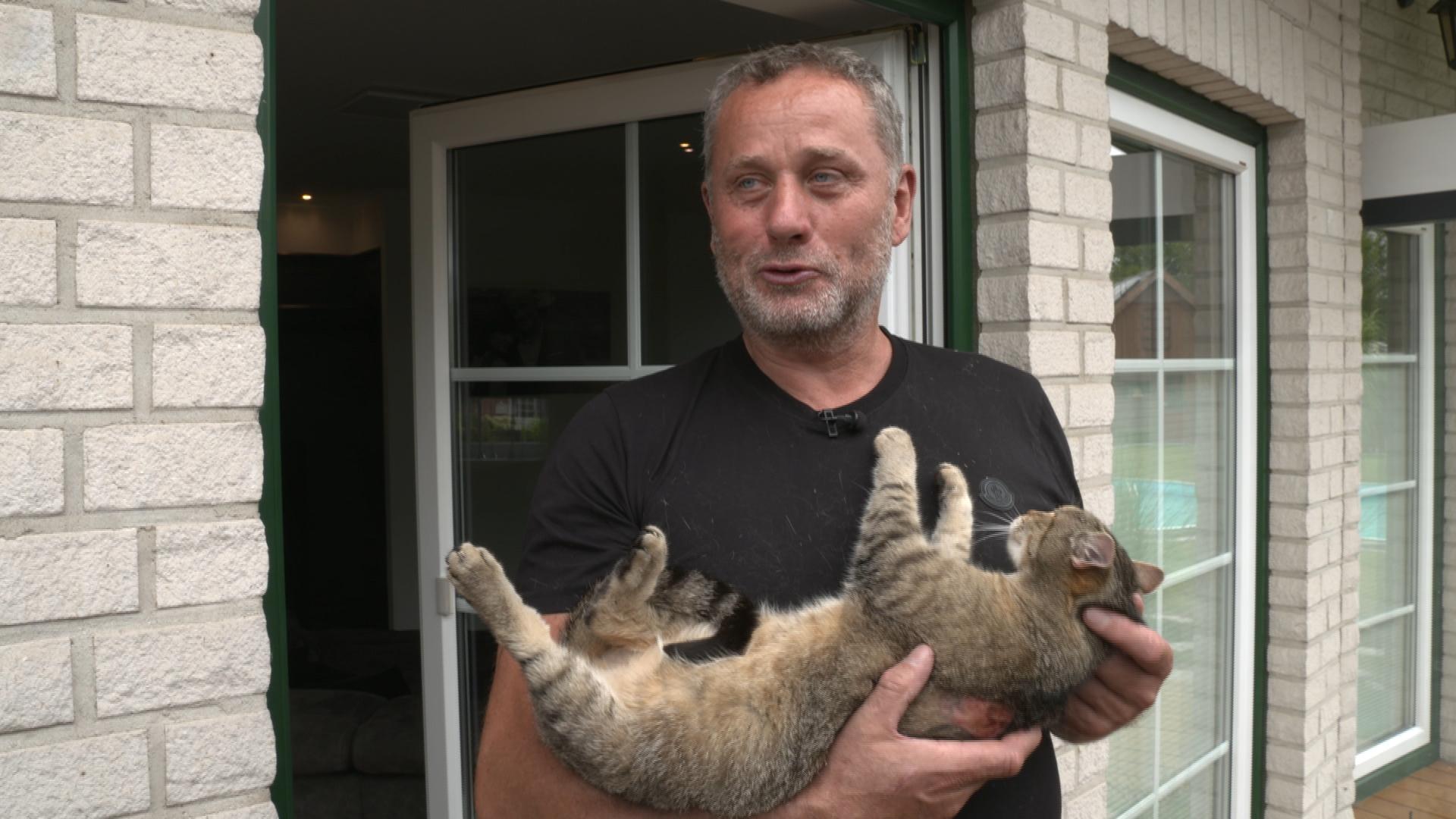 Hundeelend und Katzenjammer - Tiertherapeutinnen im Einsatz