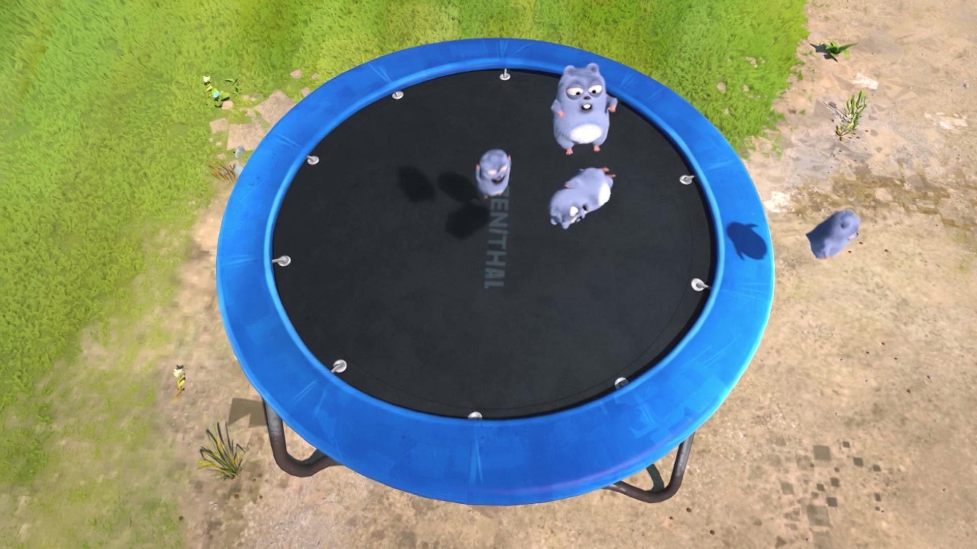 Das Trampolin