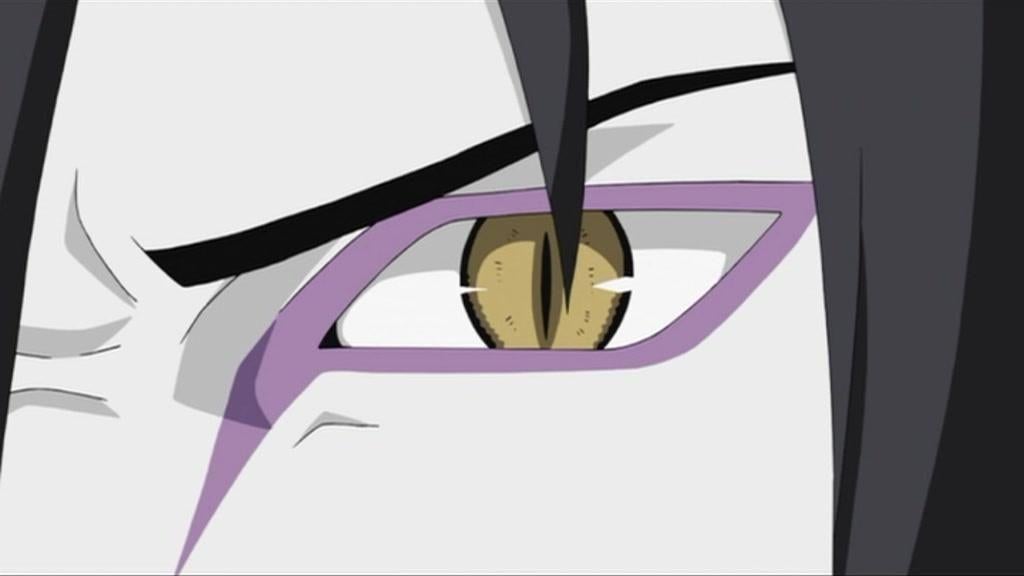 Ein wachsames Auge