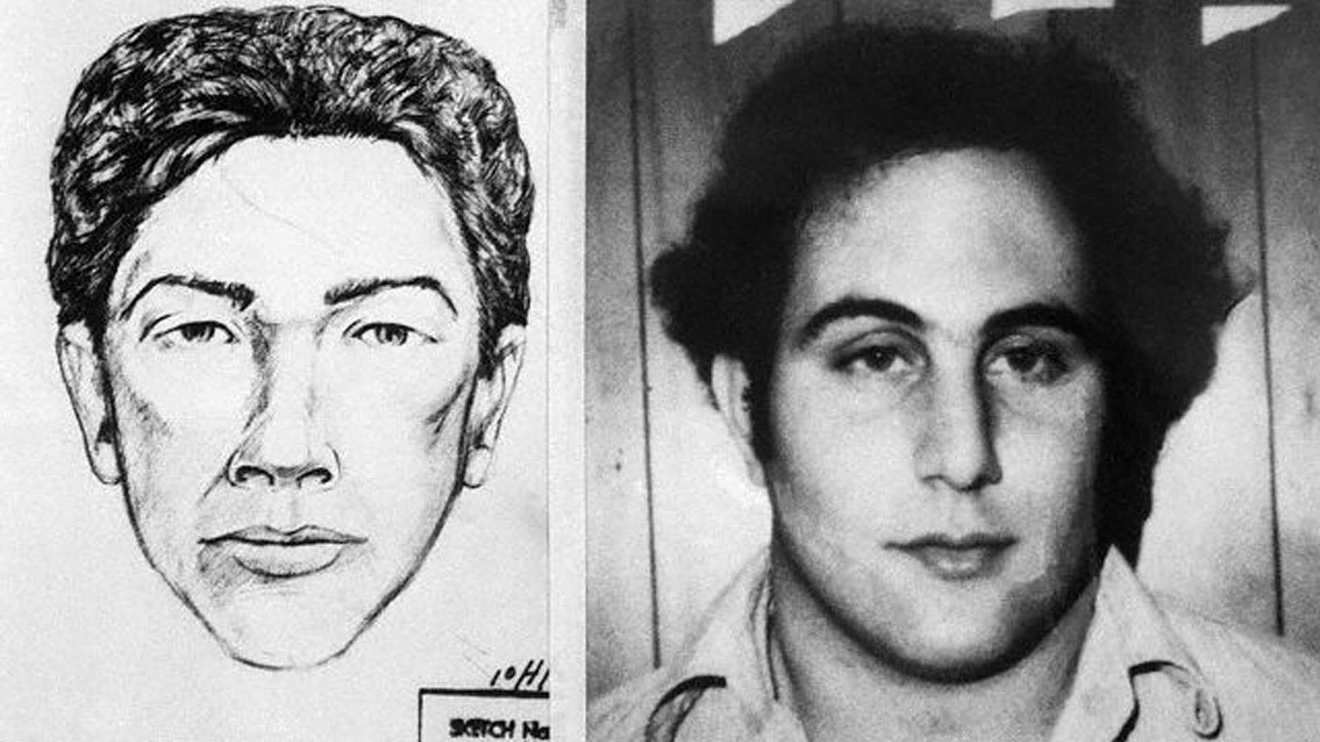 David Berkowitz