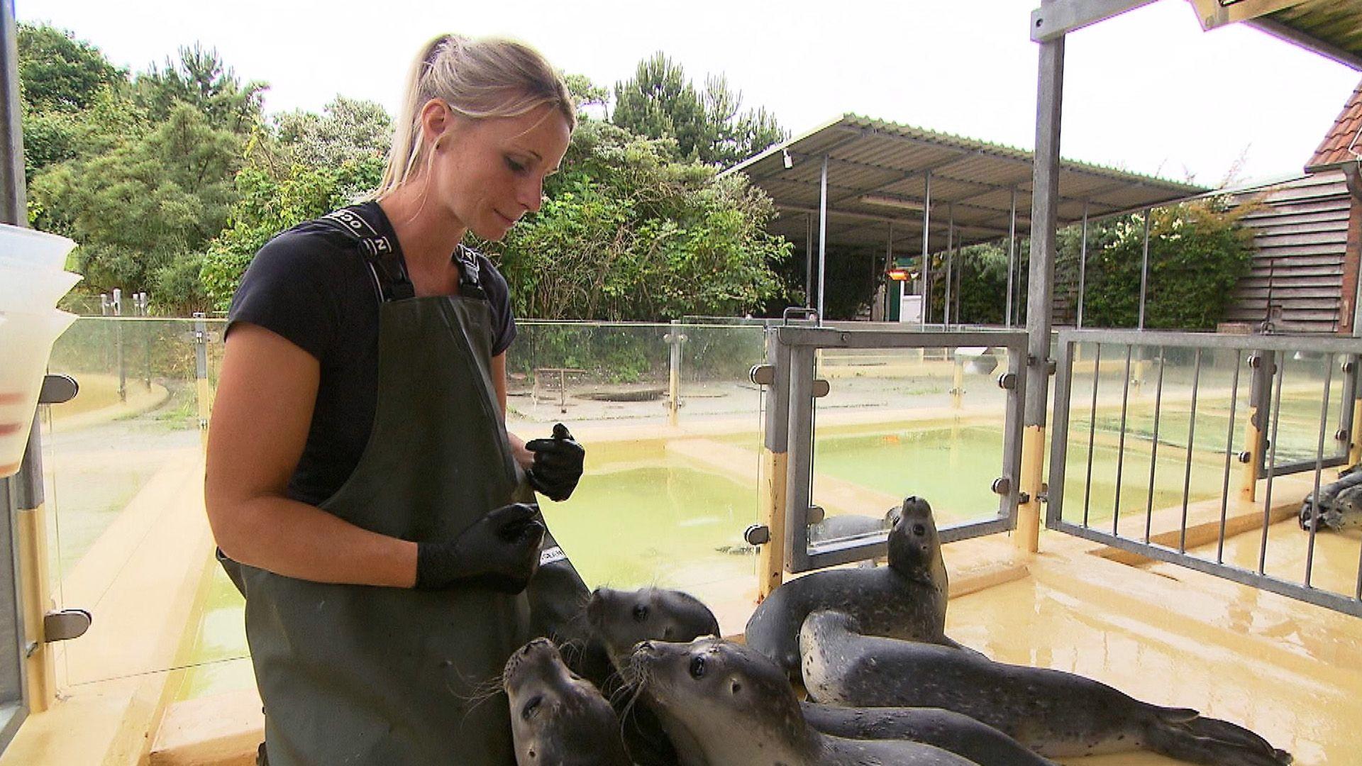 Ein guter Fang! Traumjobs am Wasser