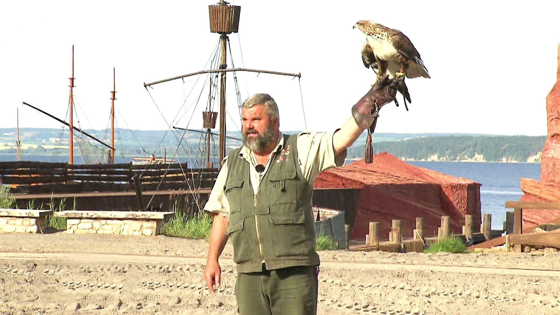 Adler "Stiwi"