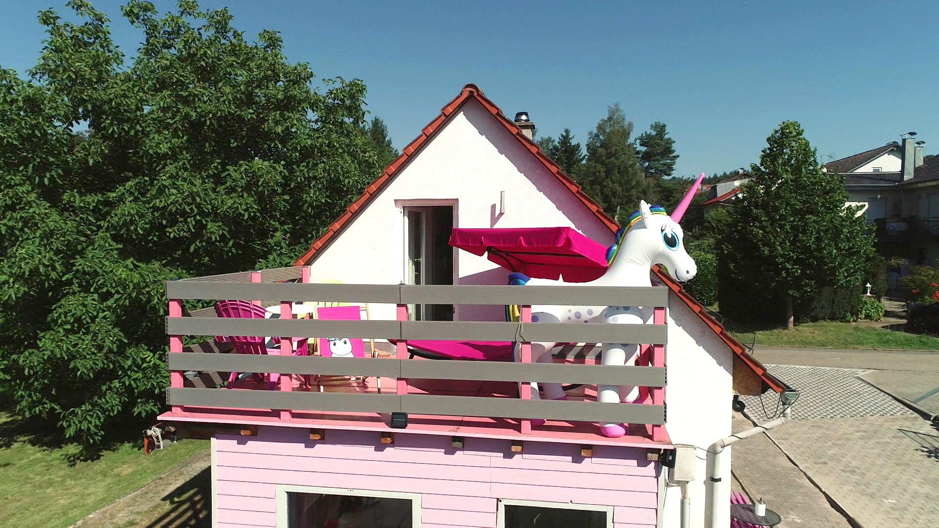 Einhornhaus / Ufo-Haus / Schmalstes Haus