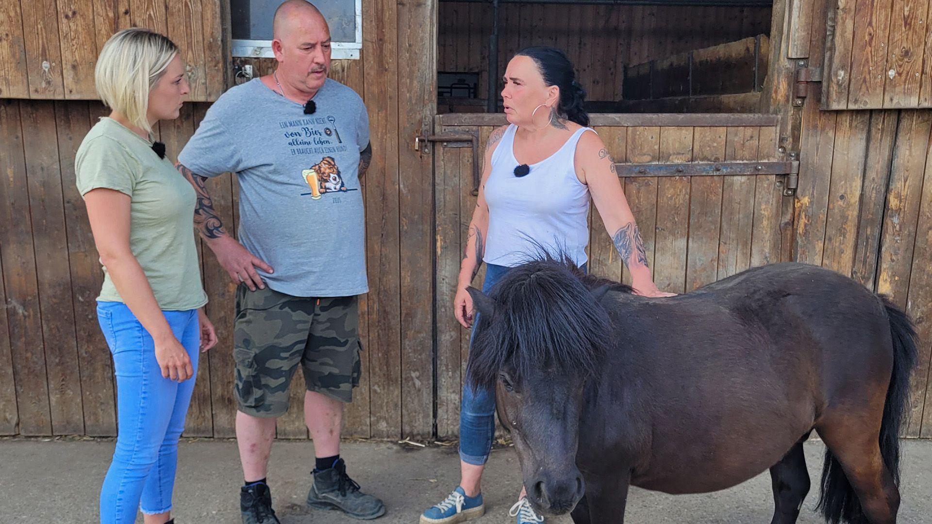 Ein neues Auto für den Gnadenhof "Little Hope Ranch"