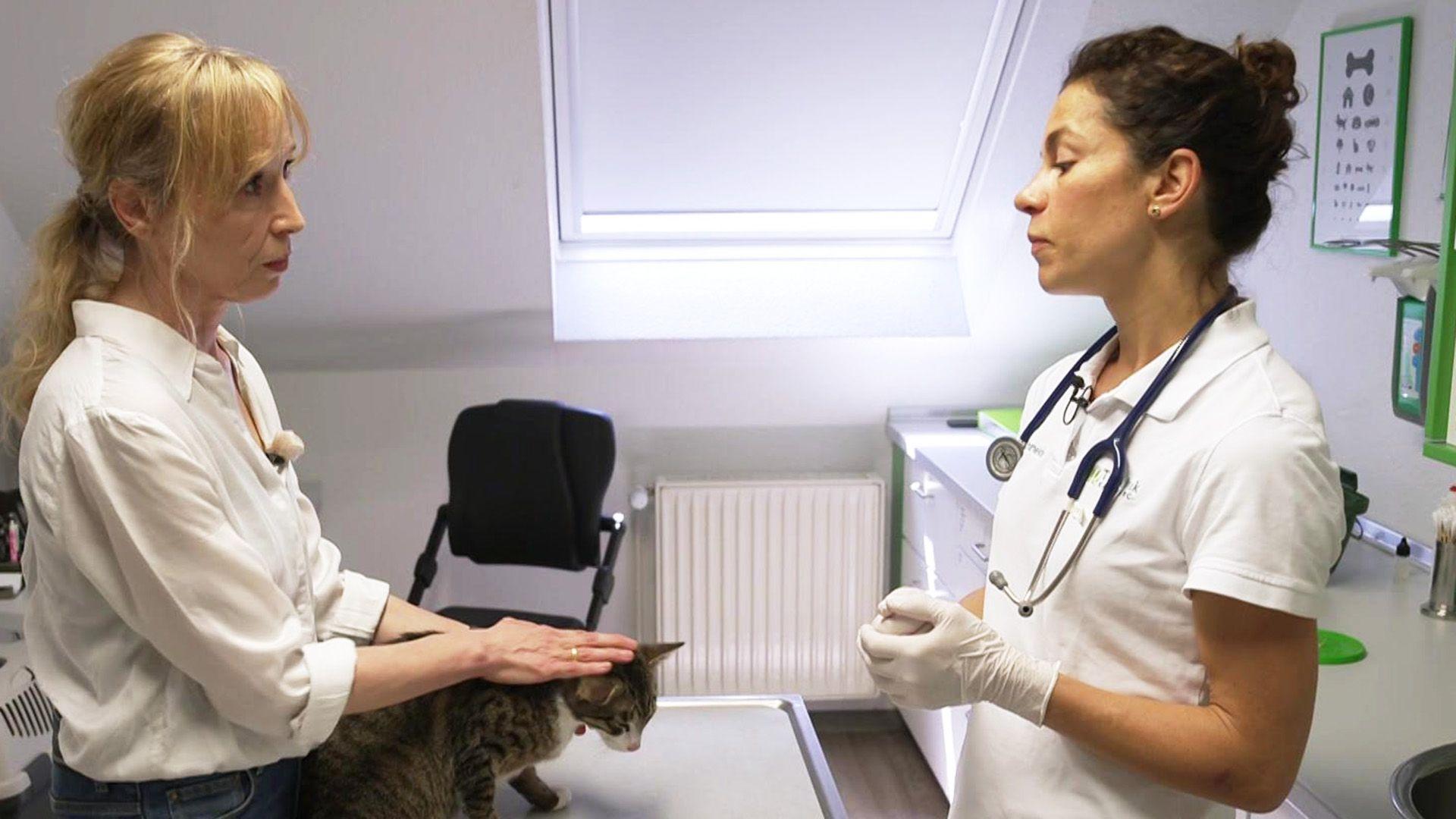 Katzenjammer - Unterwegs mit der Tierpsychologin!