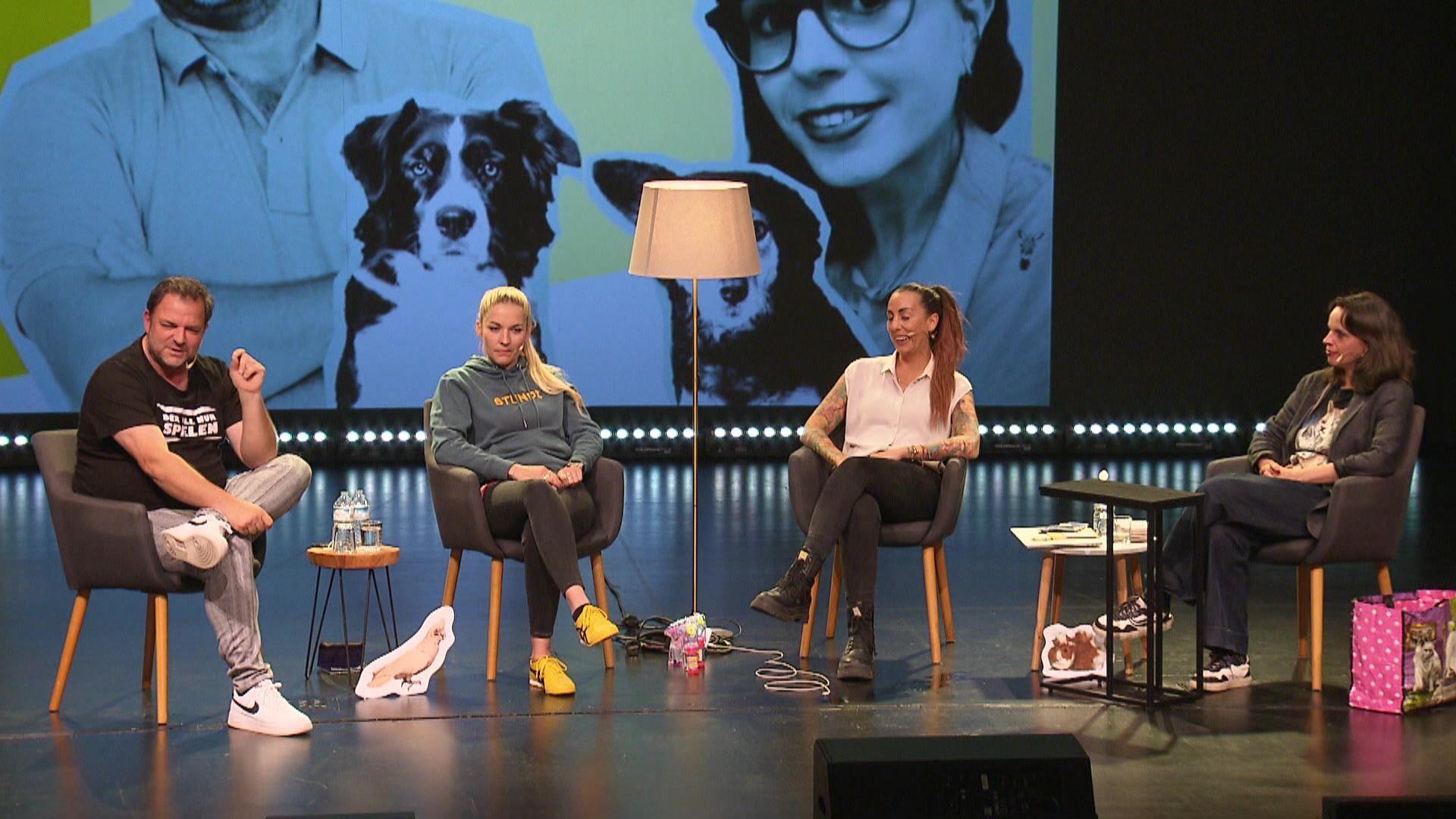 Live-Podcast Arnsberg: Katzen-Content, Special-Effects und Tierschutz