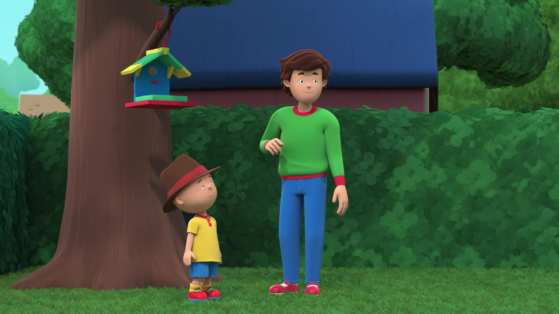 Caillou, der Vogelflüsterer
