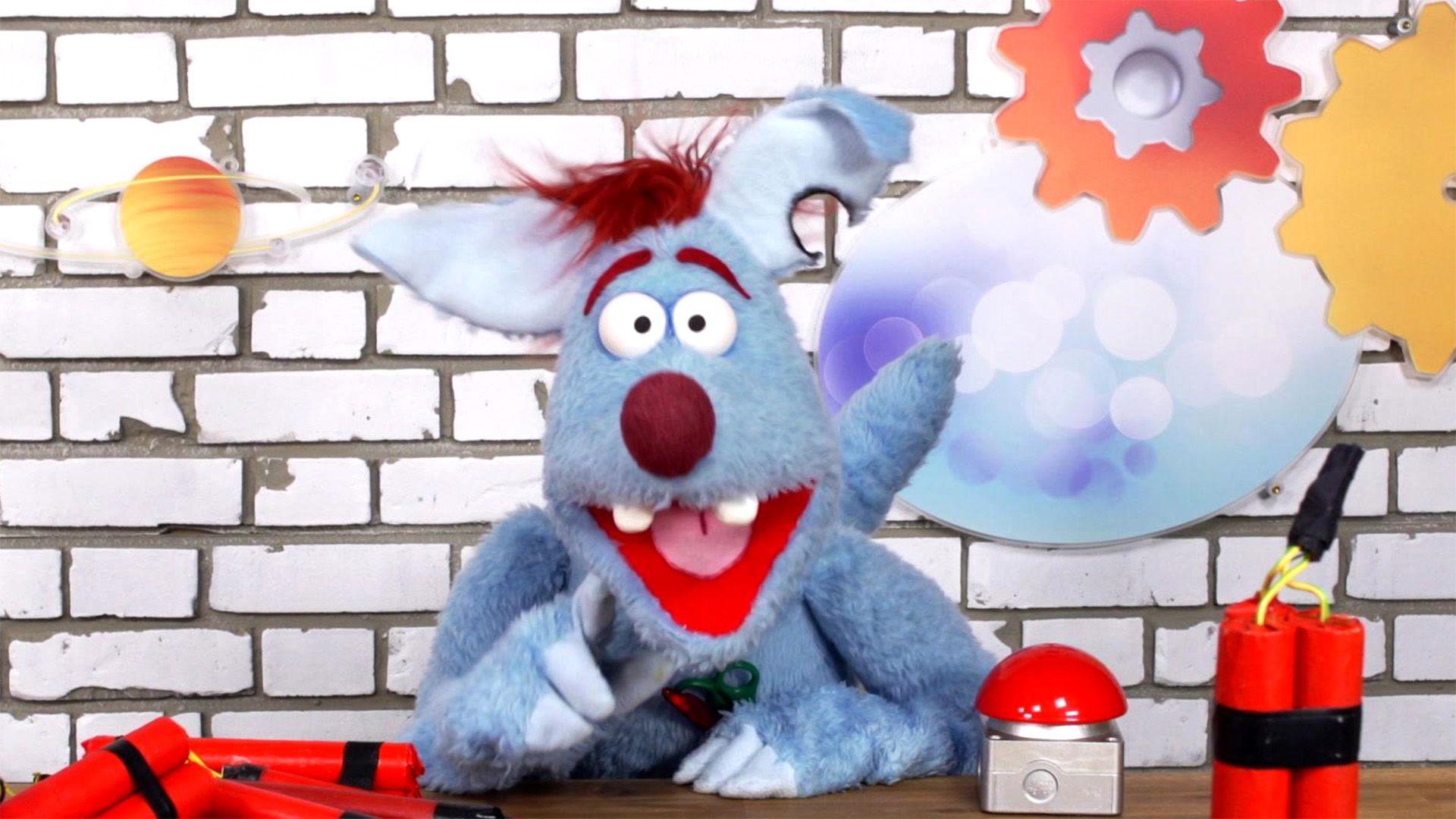 Welches Musikinstrument spielt Woozle?