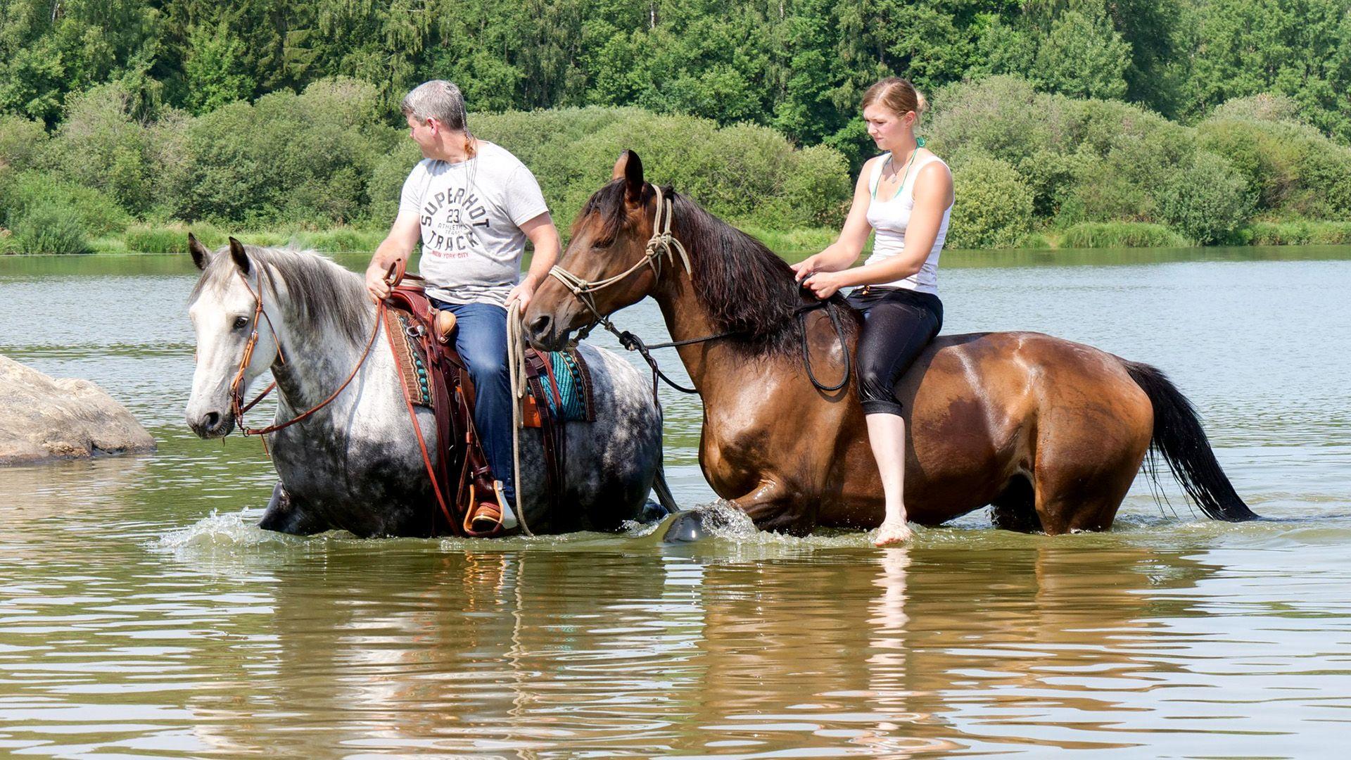 Heute u.a. mit: Danielle mit holländischem Warmblut "Wildfire"