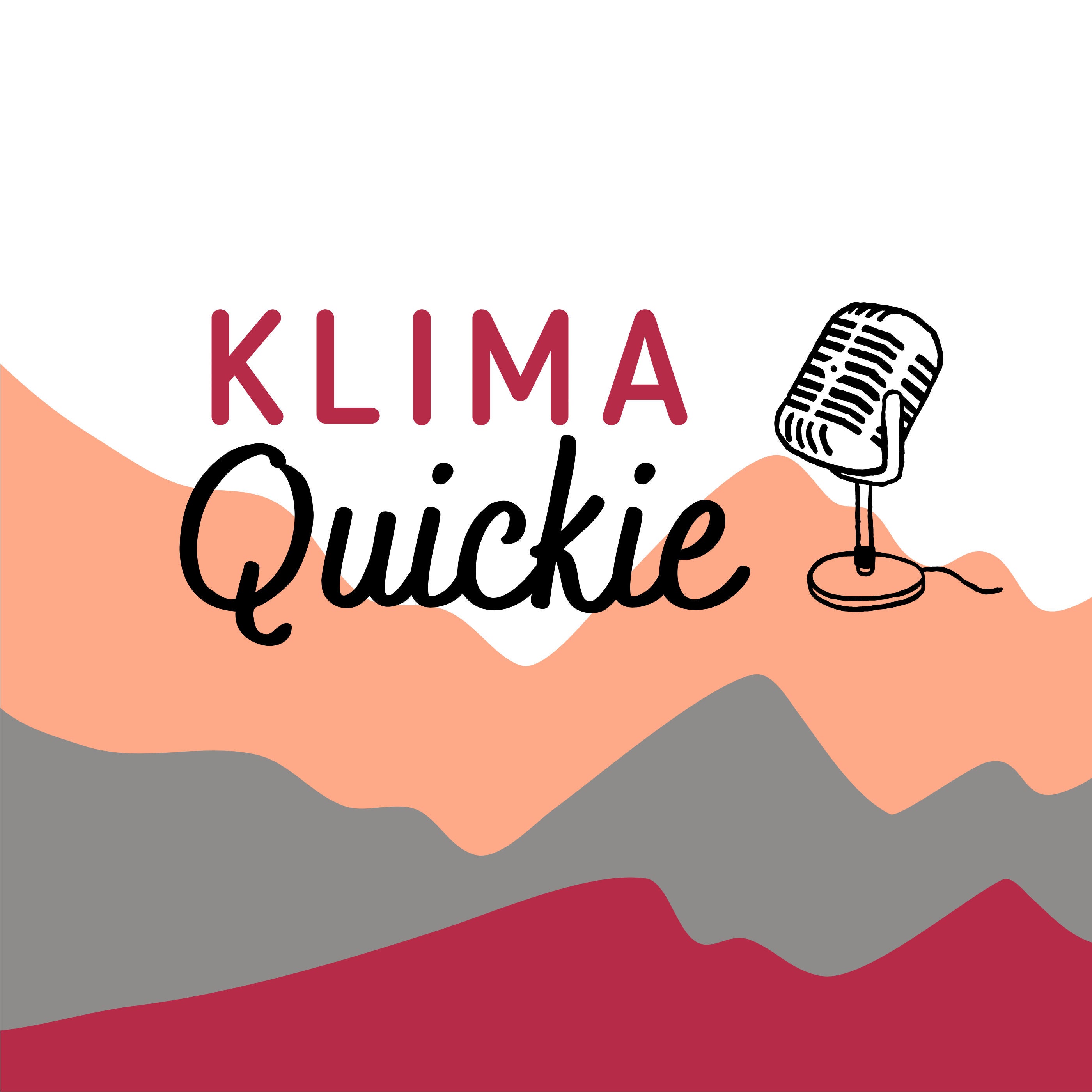 Wirkung des Klimajournalismus mit Irene Neverla