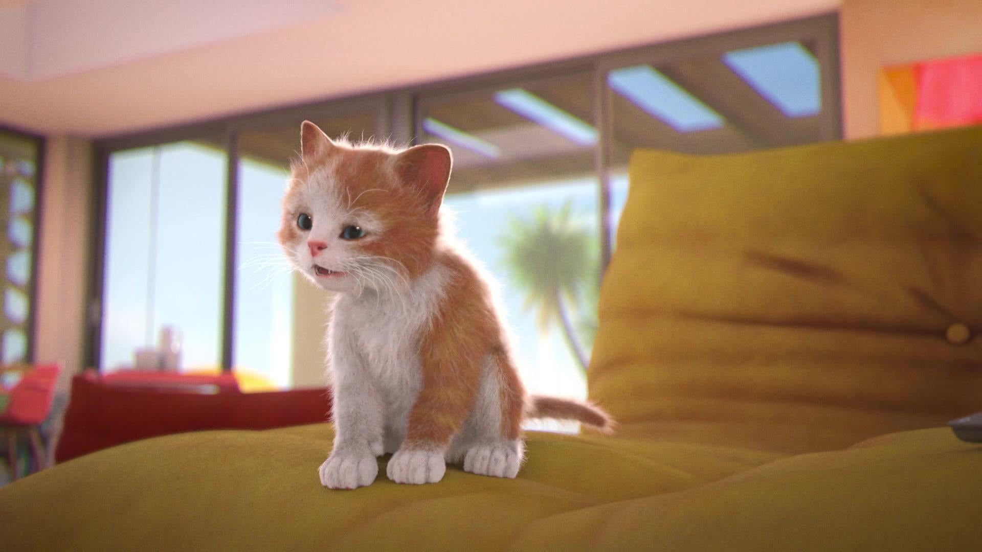 Fluffys besondere Begegnung