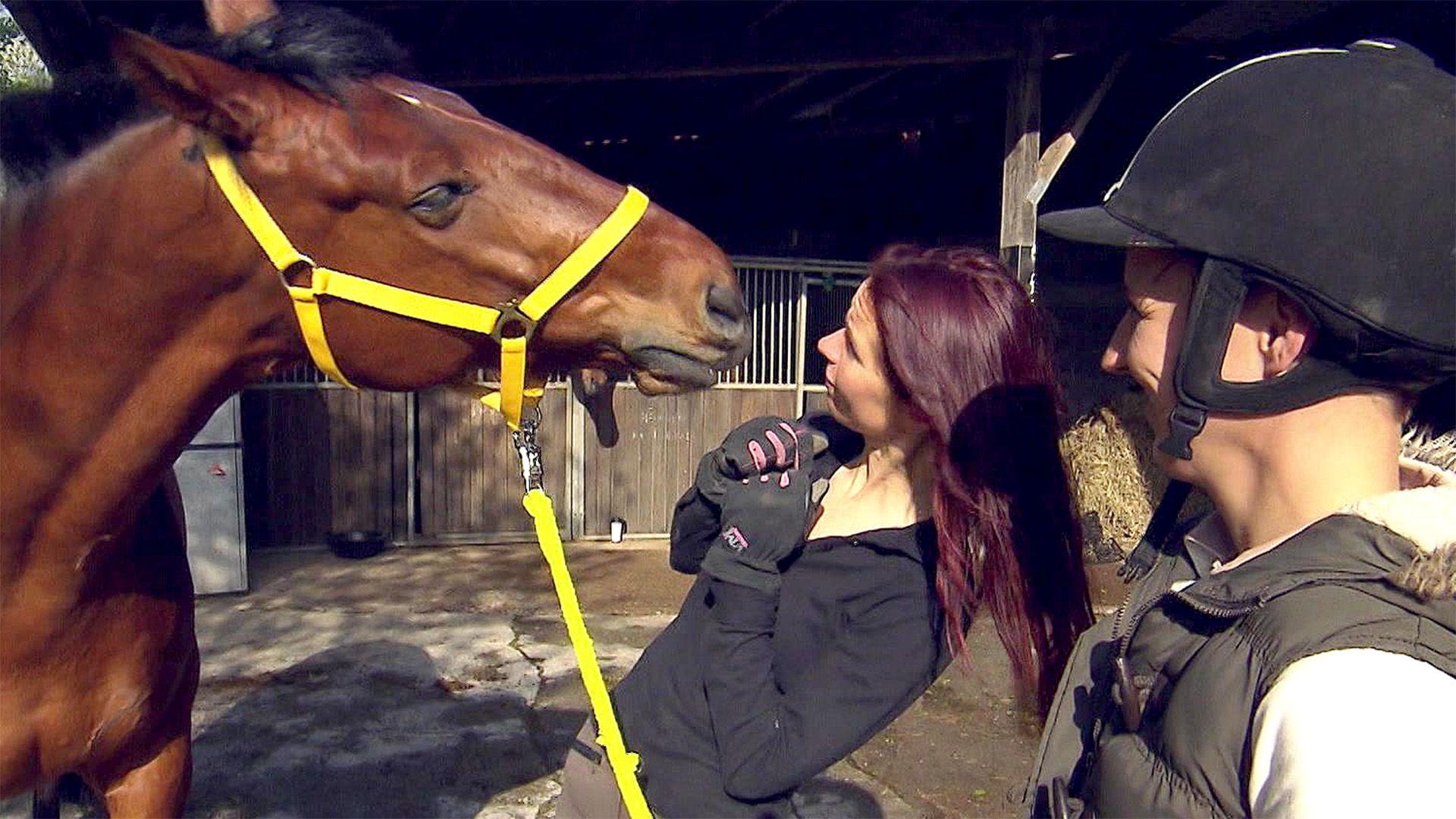 Heute u.a. mit: Sabrina mit "Chester"