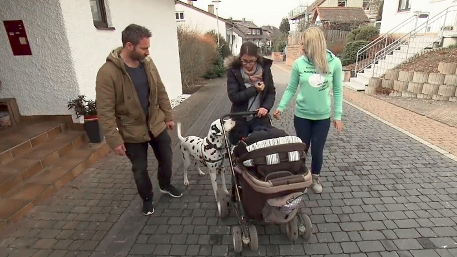 Percy & Maria haben einen eifersüchtigen Hund