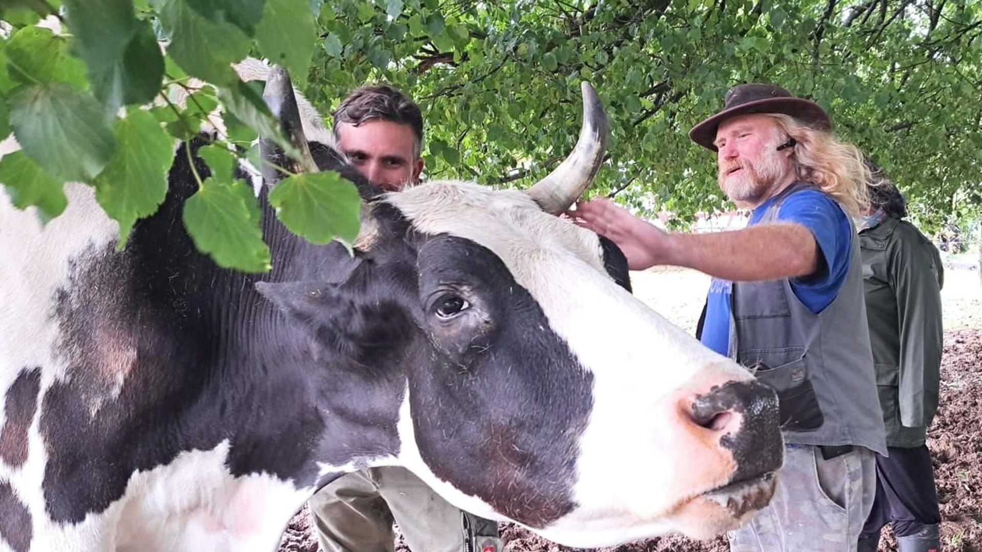 Peter Bowen muss ein Augenproblem lösen
