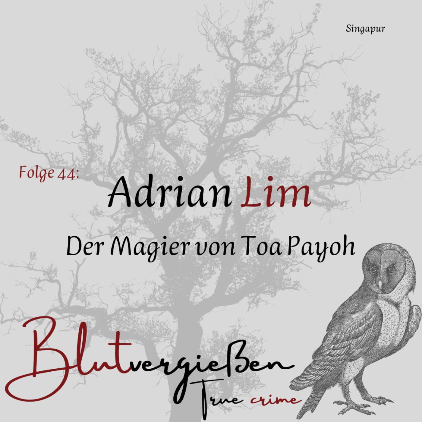 Adrian Lim - Der Magier von Toa Payoh