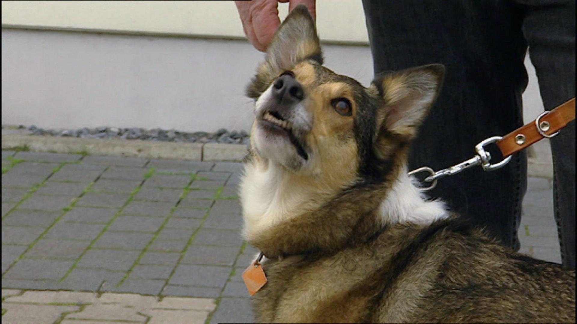 Lebensgefahr!