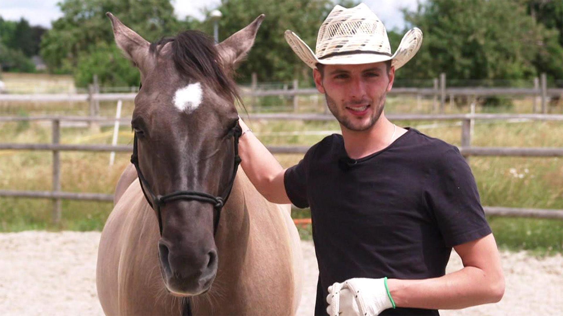 Pferd Shadow reagiert ängstlich auf kleinste Störungen.