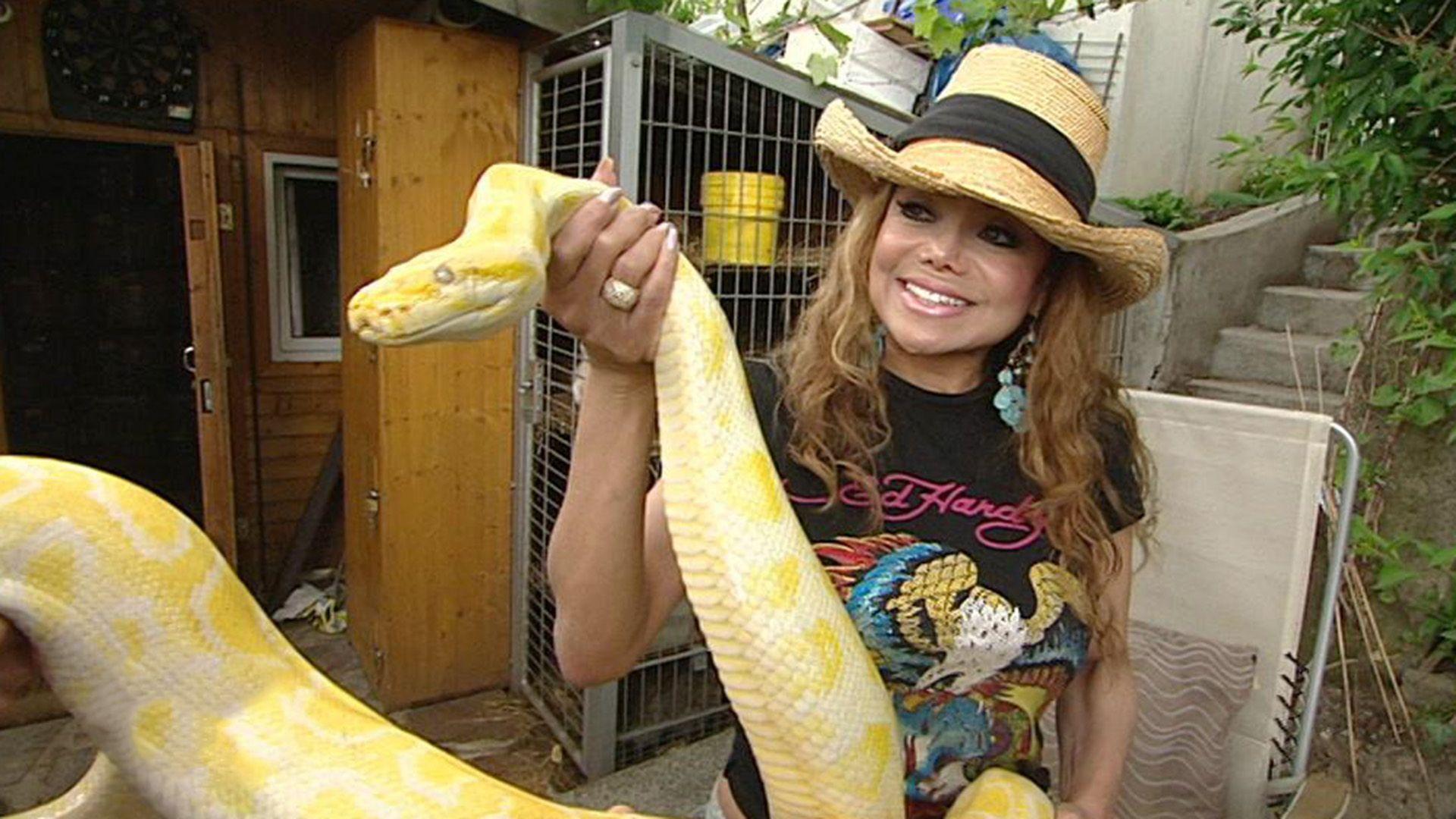 LaToya Jackson und die weiße Riesenschlange