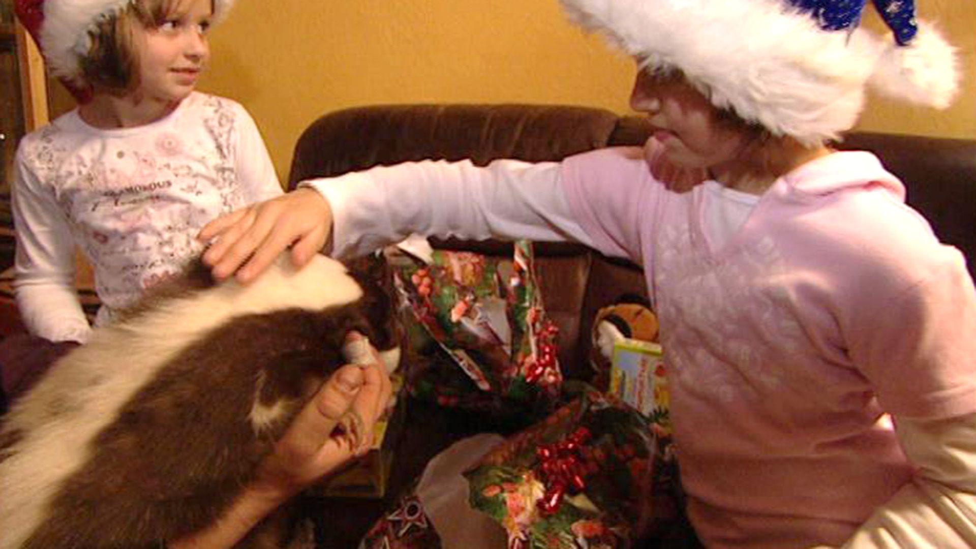Wilde Weihnacht!