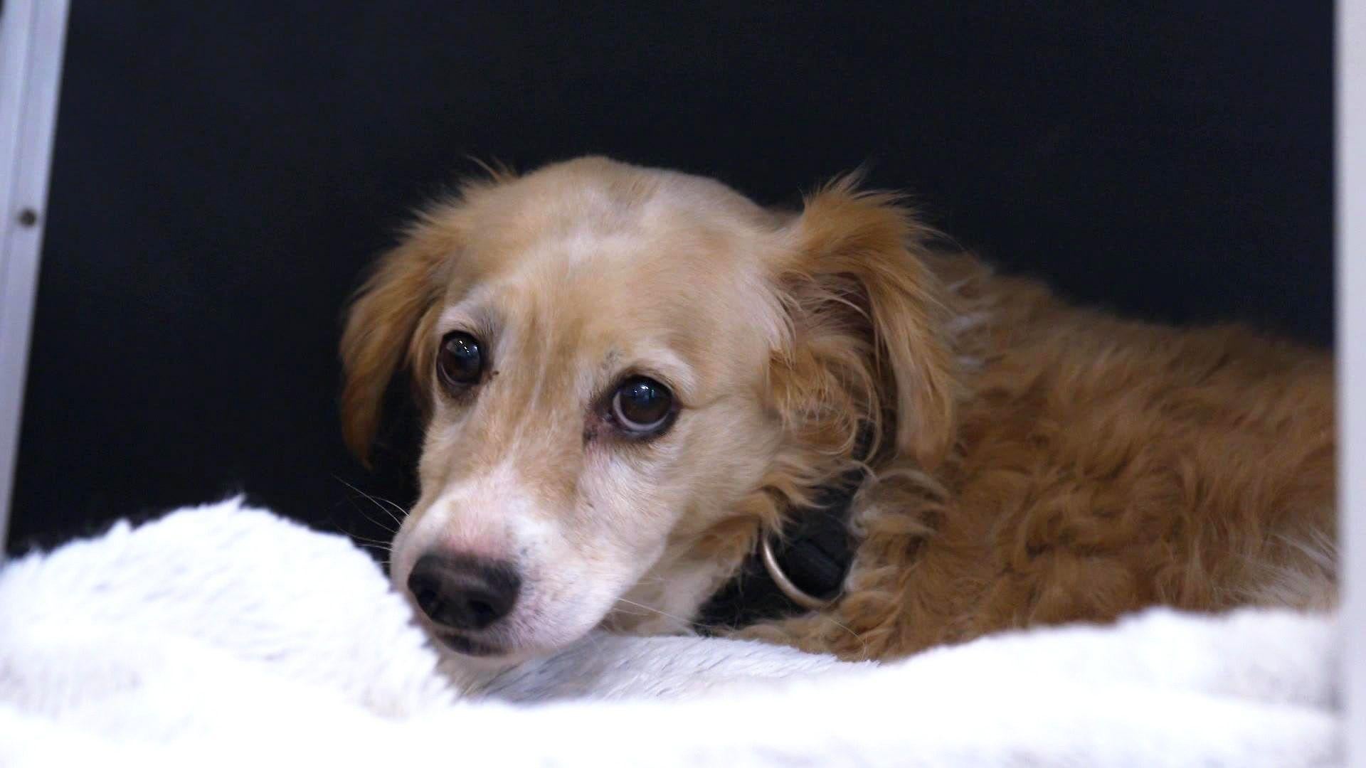 Folge 3