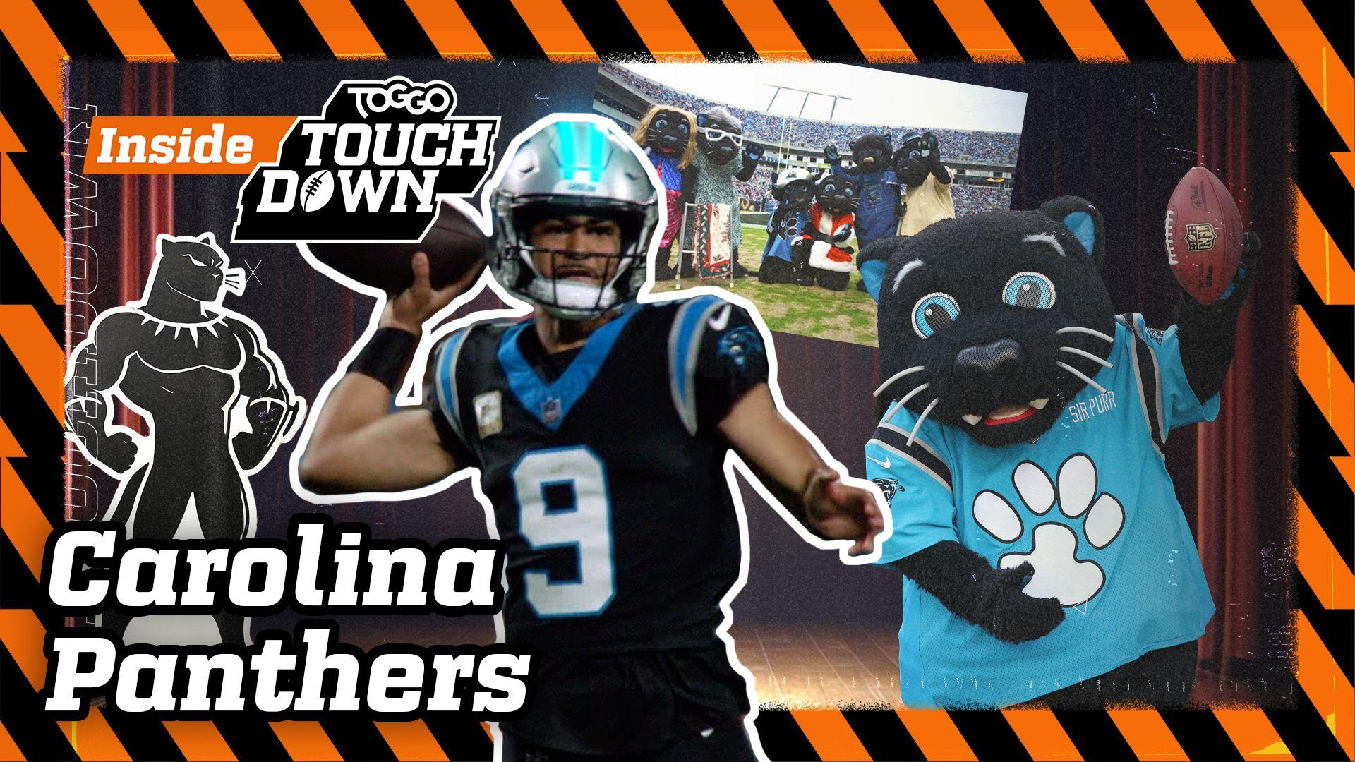 Das sind die Carolina Panthers