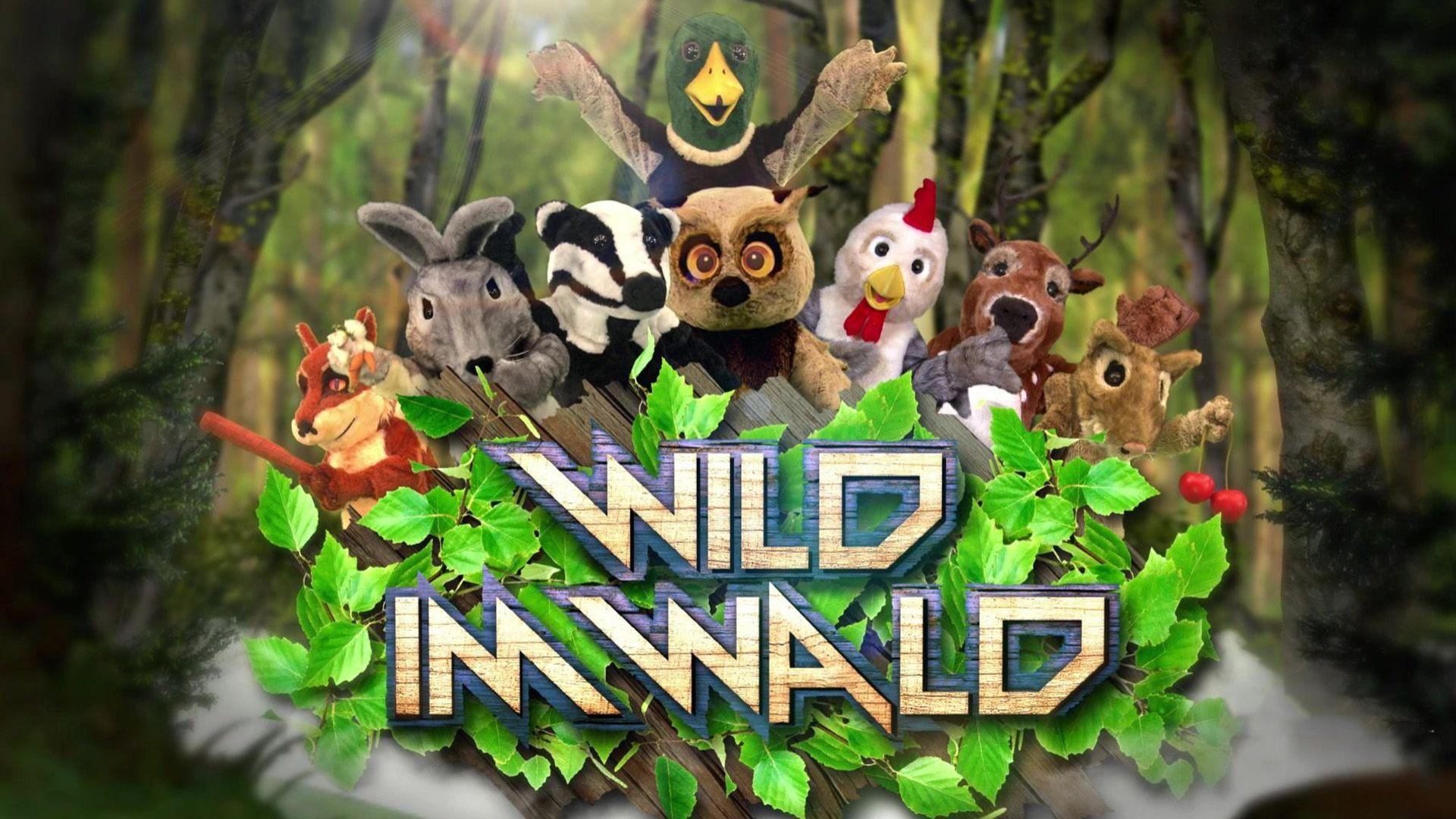Wild im Wald